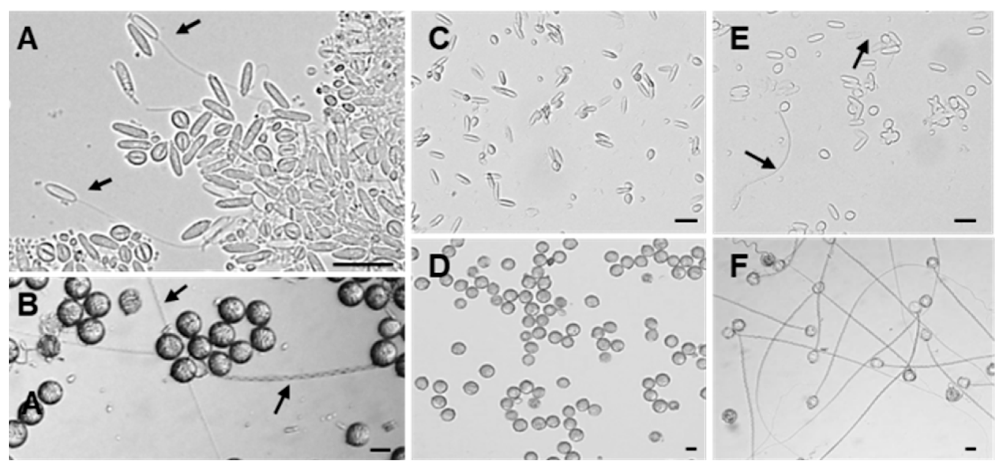 Marinedrugs 23 00421 g003