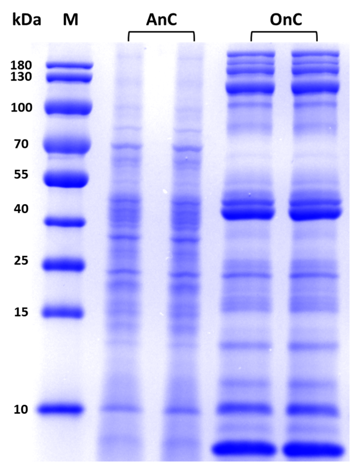 Marinedrugs 23 00421 g004