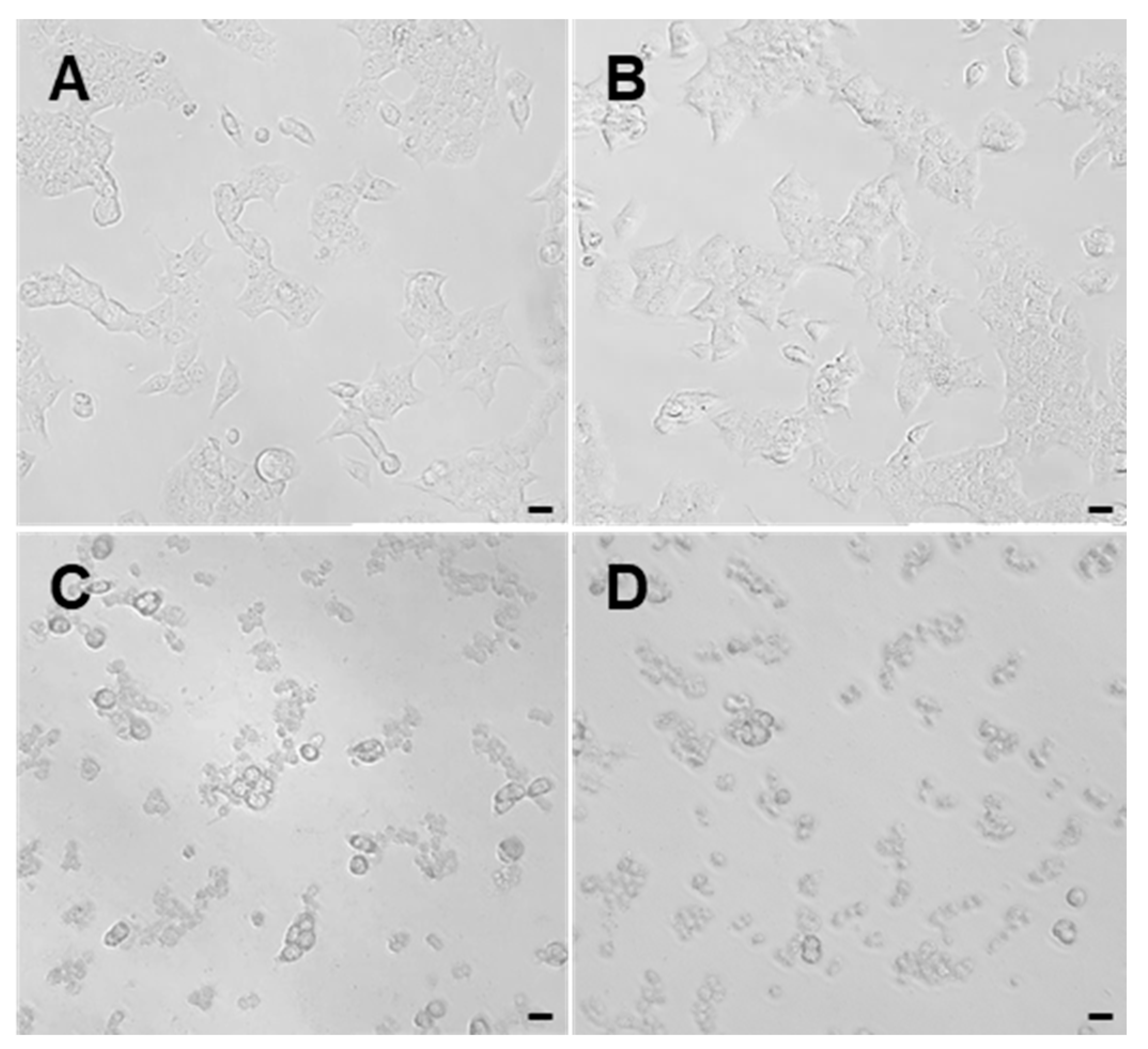 Marinedrugs 23 00421 g005