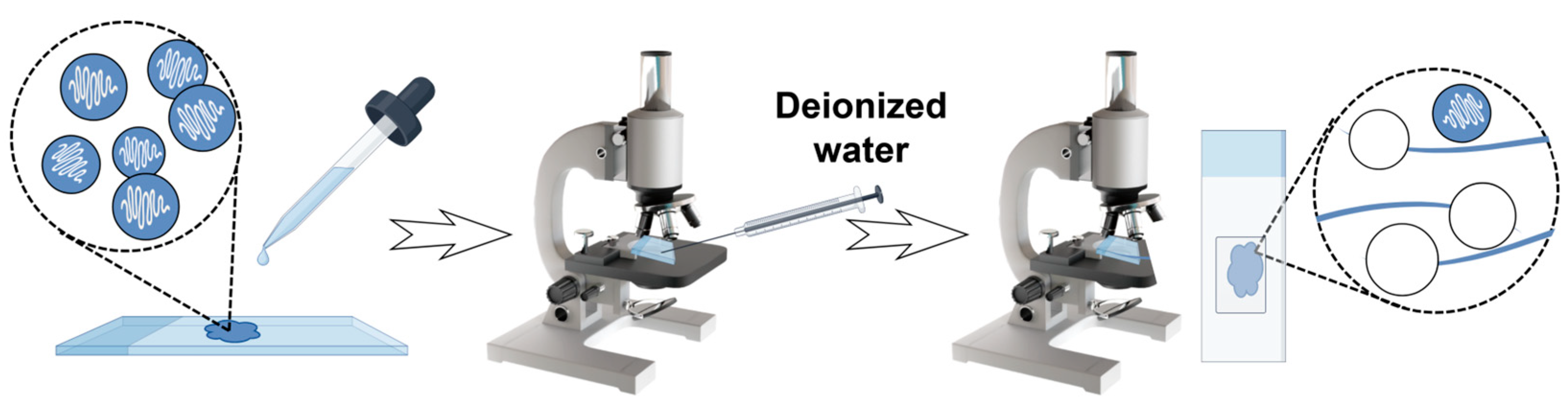 Marinedrugs 23 00421 g012