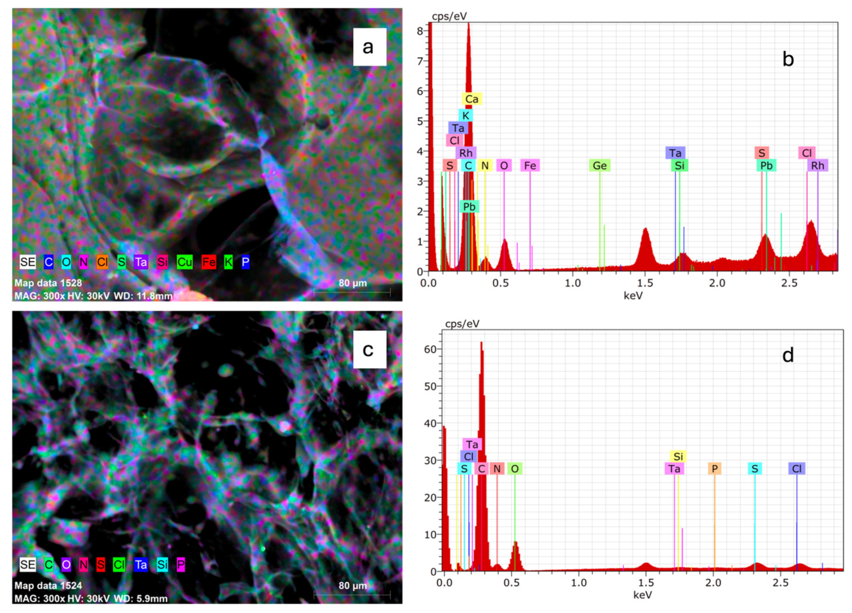 Marinedrugs 23 00432 g001 Marinedrugs 23 00432 g001