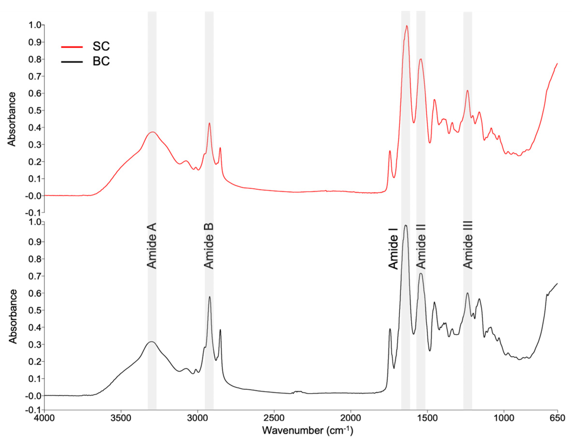 Marinedrugs 23 00432 g004 Marinedrugs 23 00432 g004