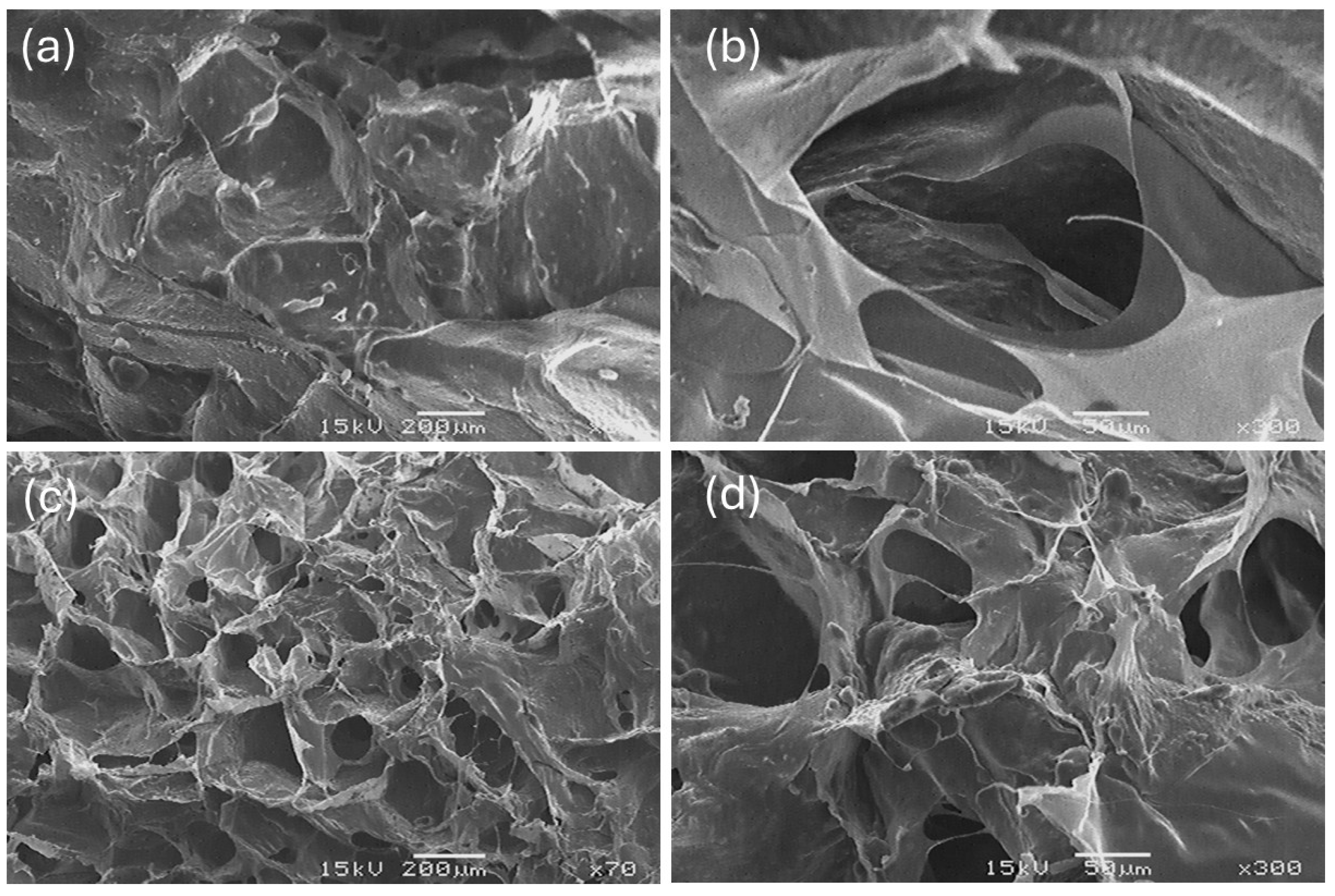 Marinedrugs 23 00432 g008 Marinedrugs 23 00432 g008