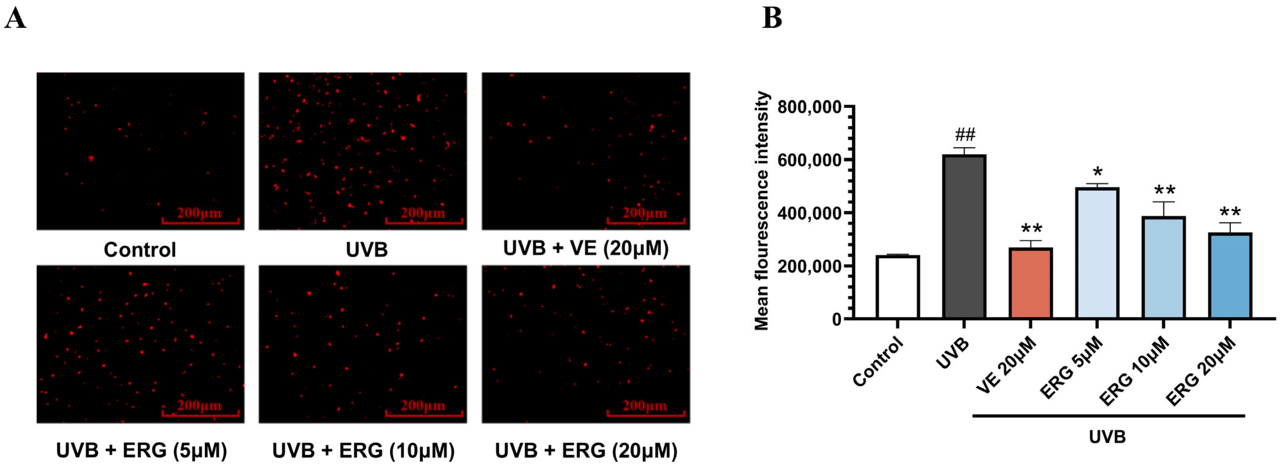 Marinedrugs 23 00445 g002 Marinedrugs 23 00445 g002