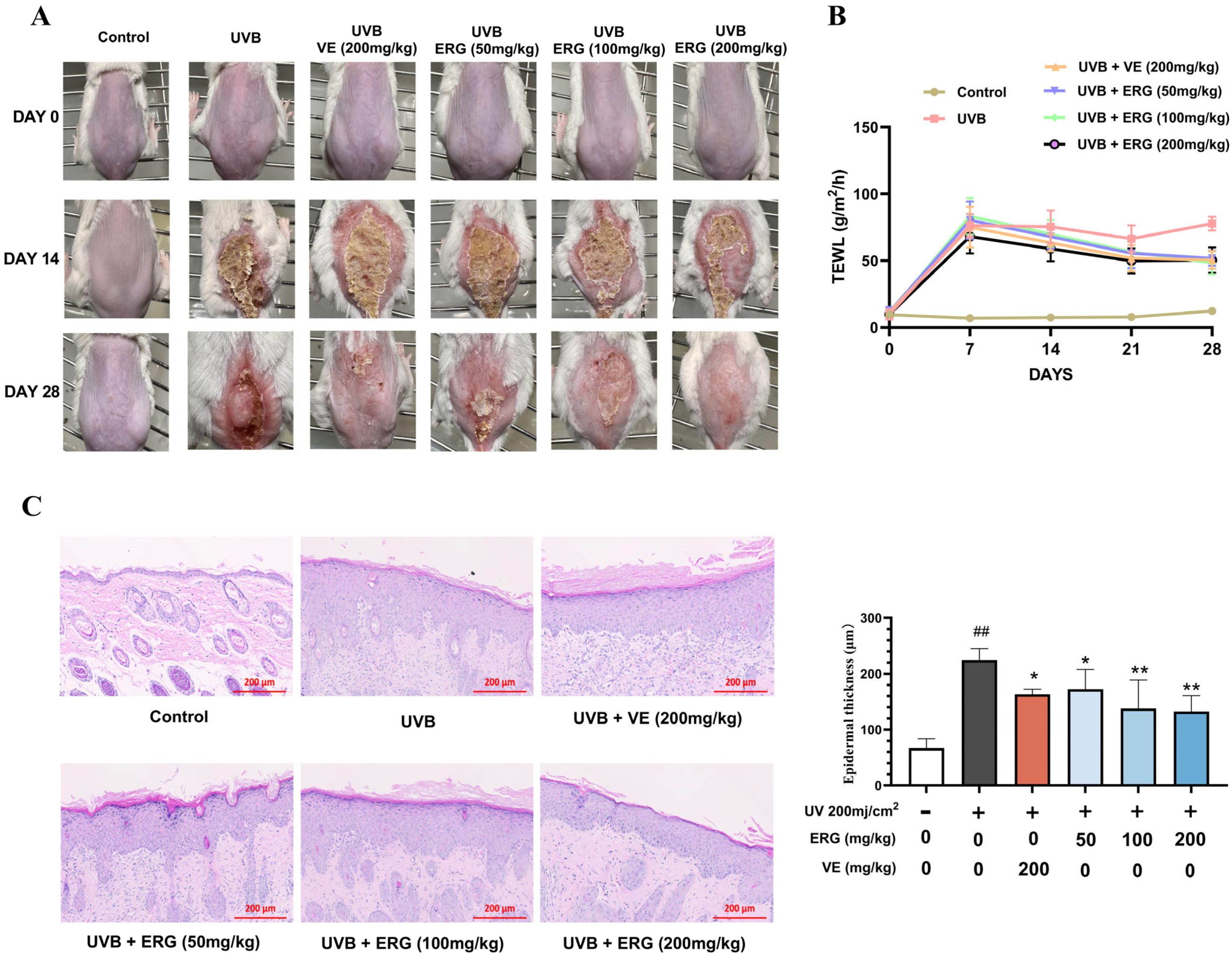 Marinedrugs 23 00445 g004 Marinedrugs 23 00445 g004