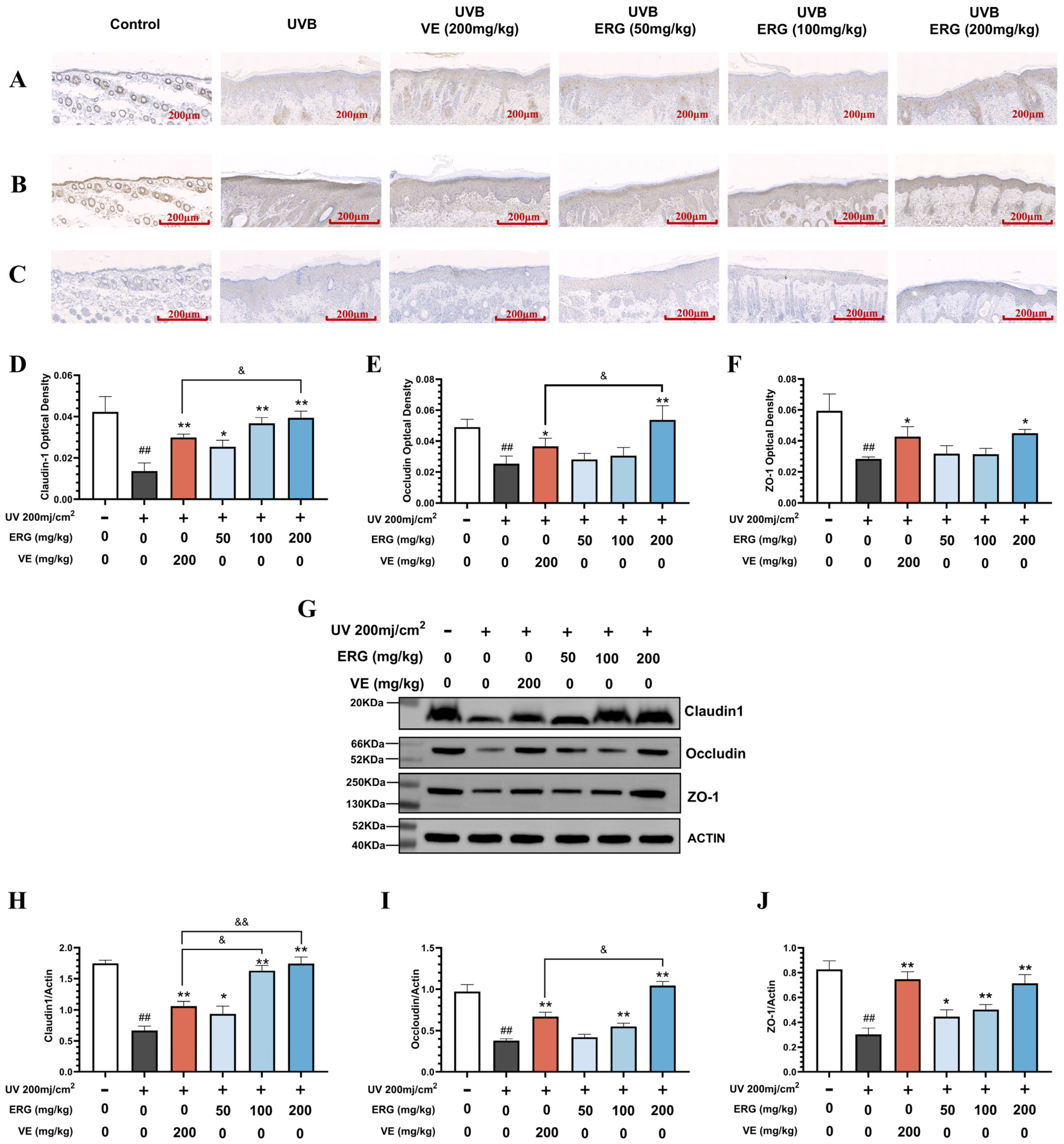Marinedrugs 23 00445 g005 Marinedrugs 23 00445 g005