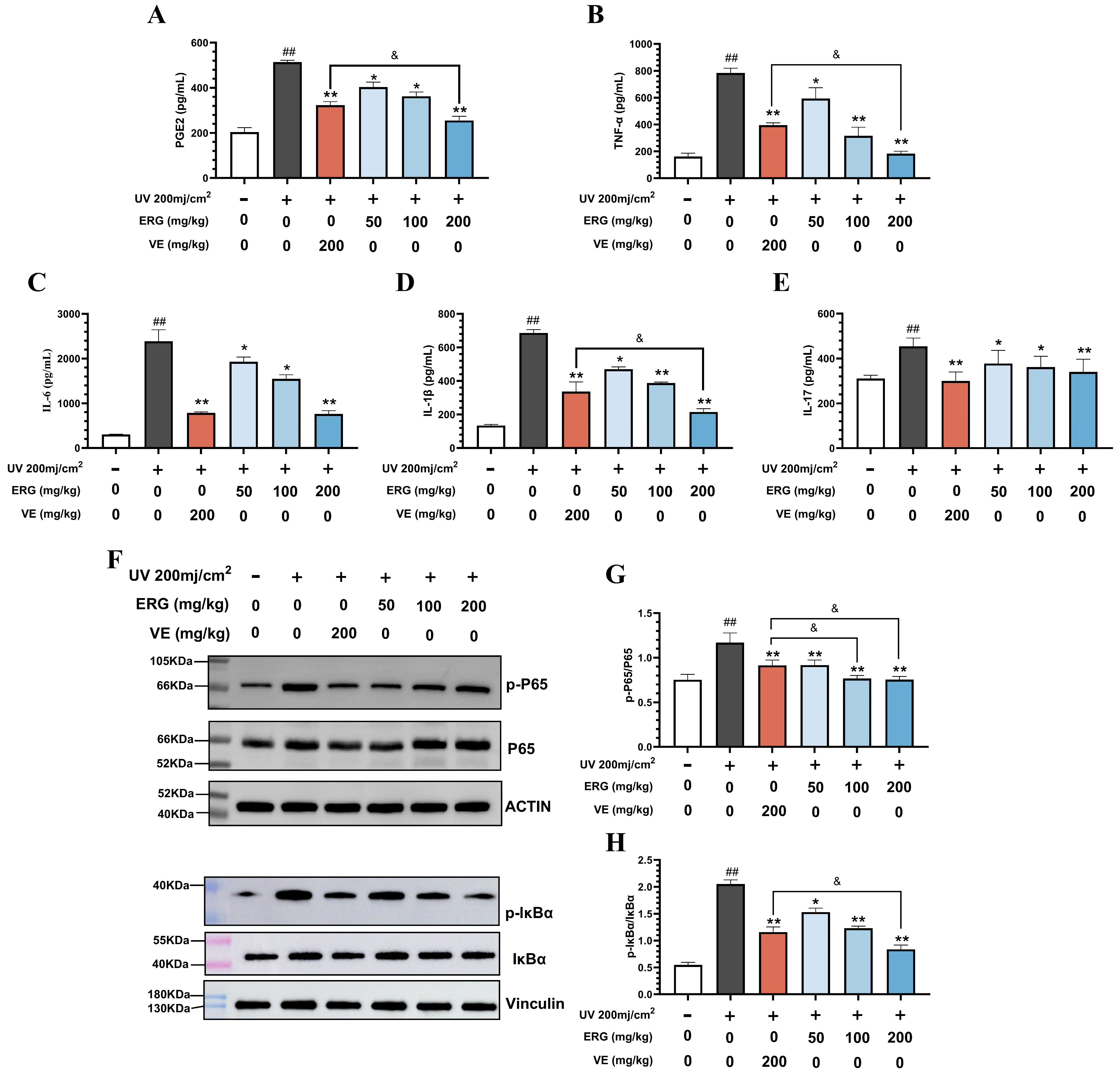 Marinedrugs 23 00445 g006 Marinedrugs 23 00445 g006