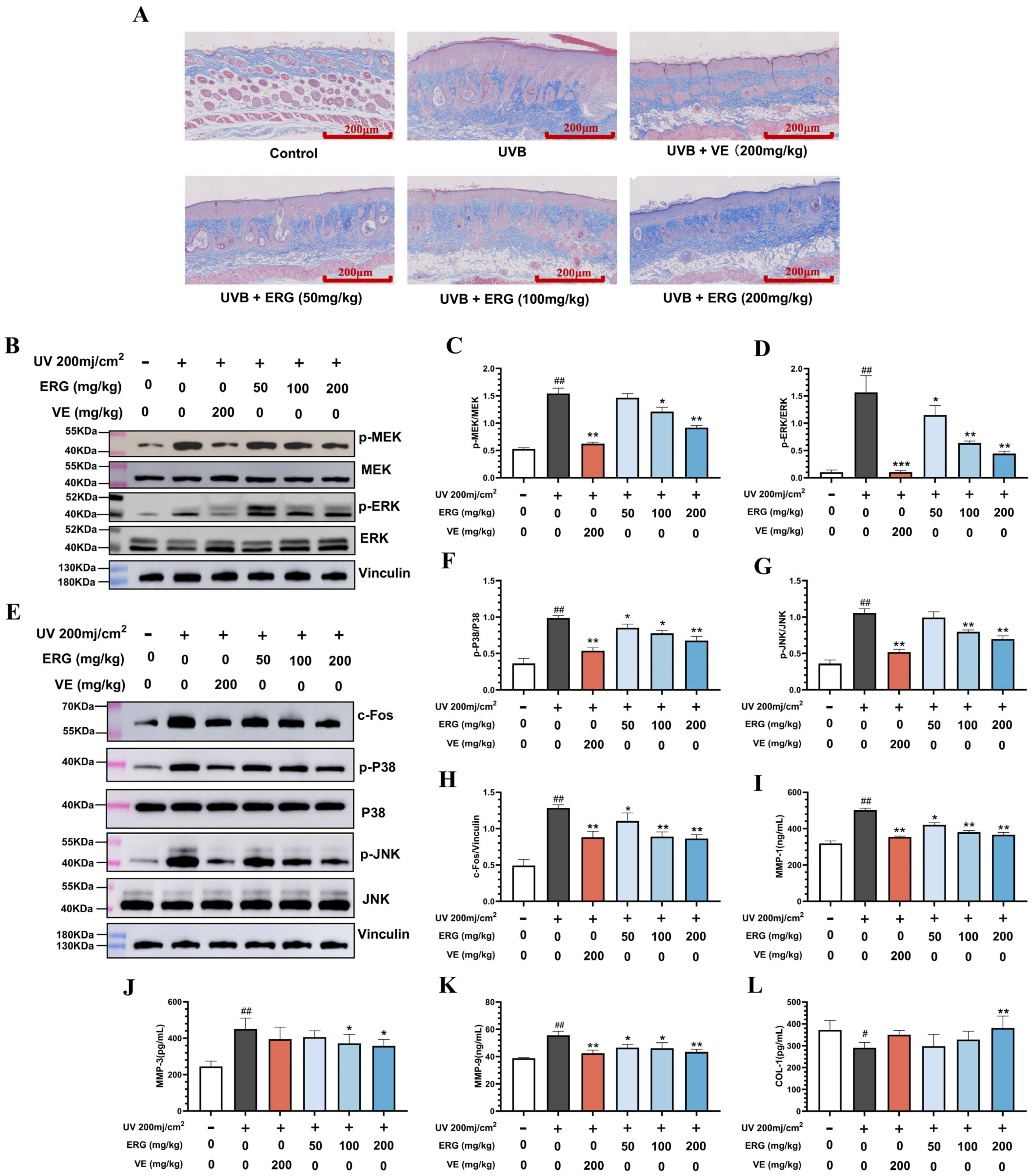 Marinedrugs 23 00445 g007 Marinedrugs 23 00445 g007