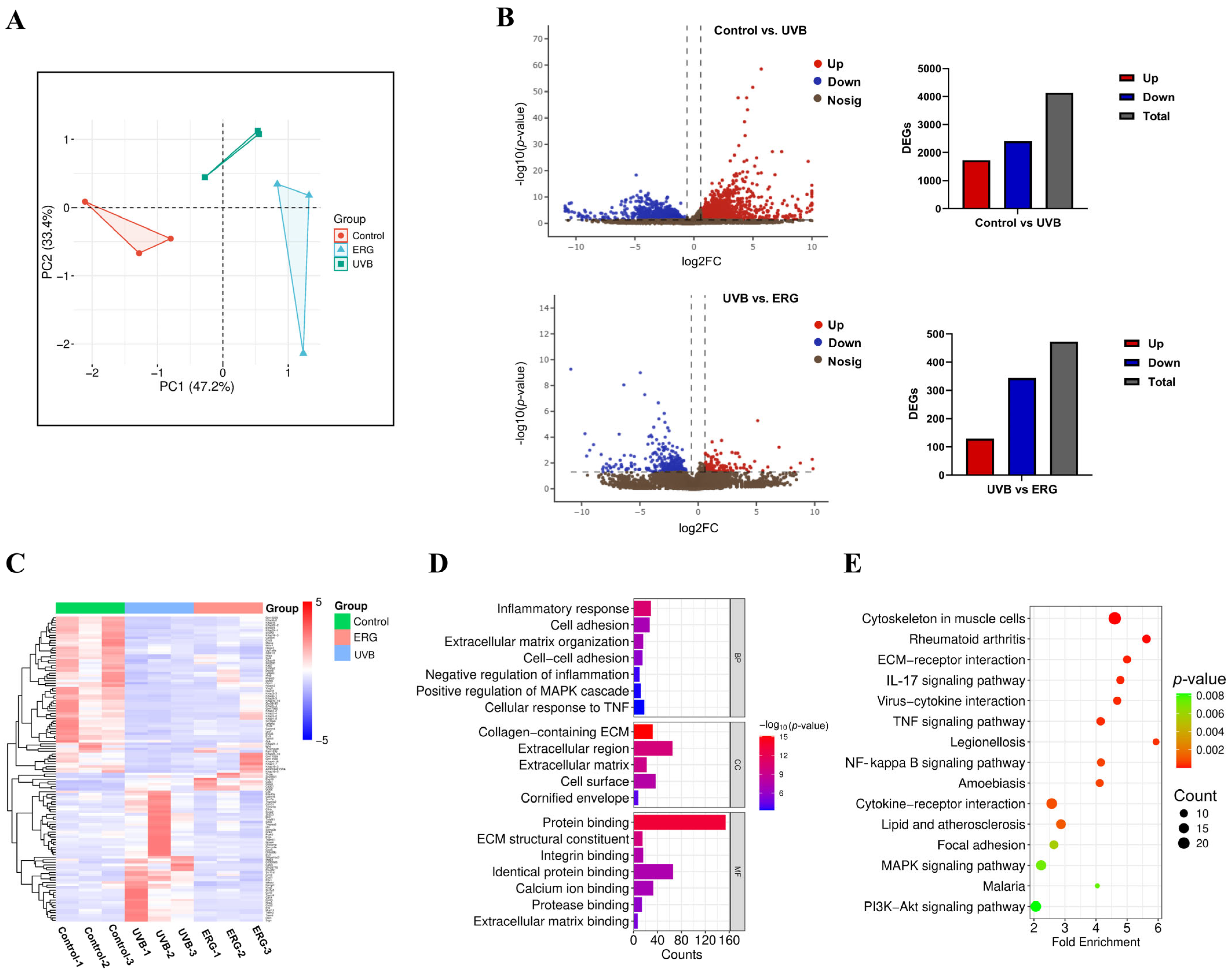 Marinedrugs 23 00445 g008 Marinedrugs 23 00445 g008