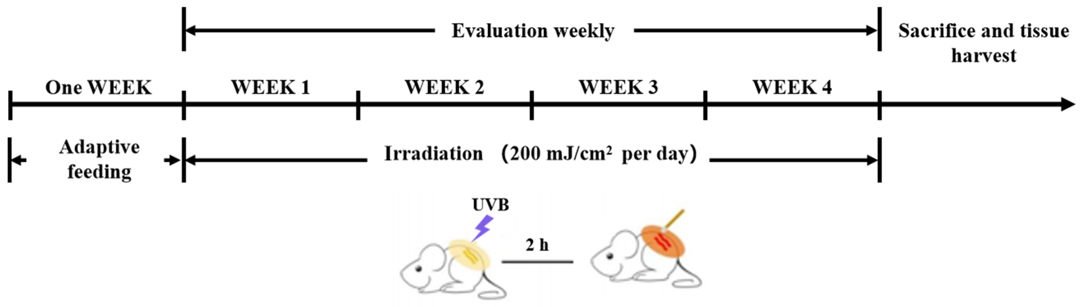 Marinedrugs 23 00445 sch001 Marinedrugs 23 00445 sch001