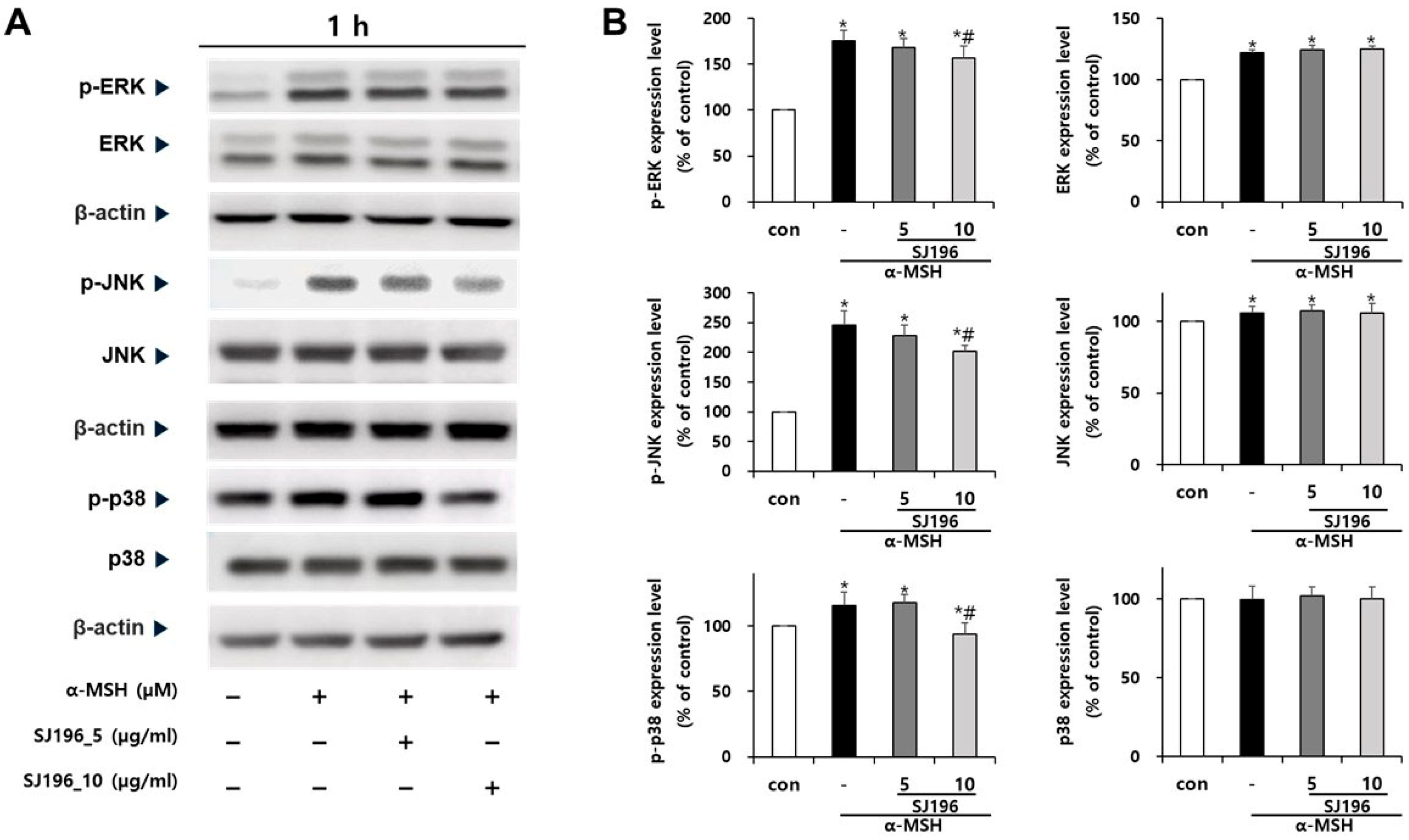 Marinedrugs 23 00448 g008