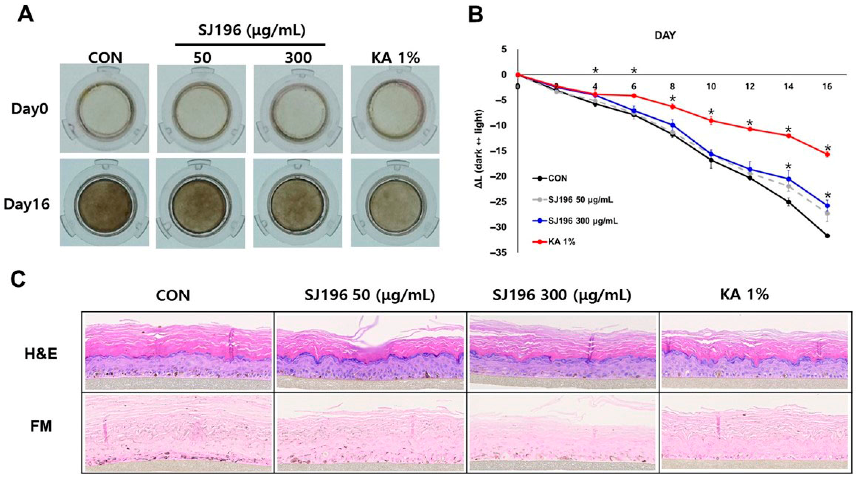 Marinedrugs 23 00448 g009