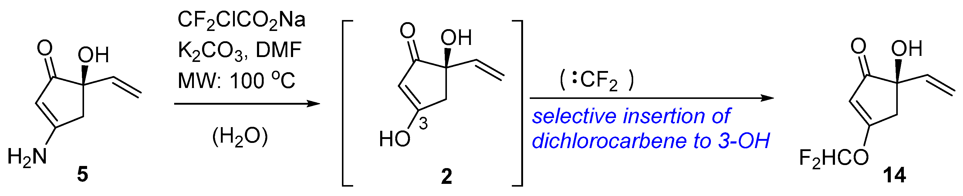 Marinedrugs 23 00449 sch004