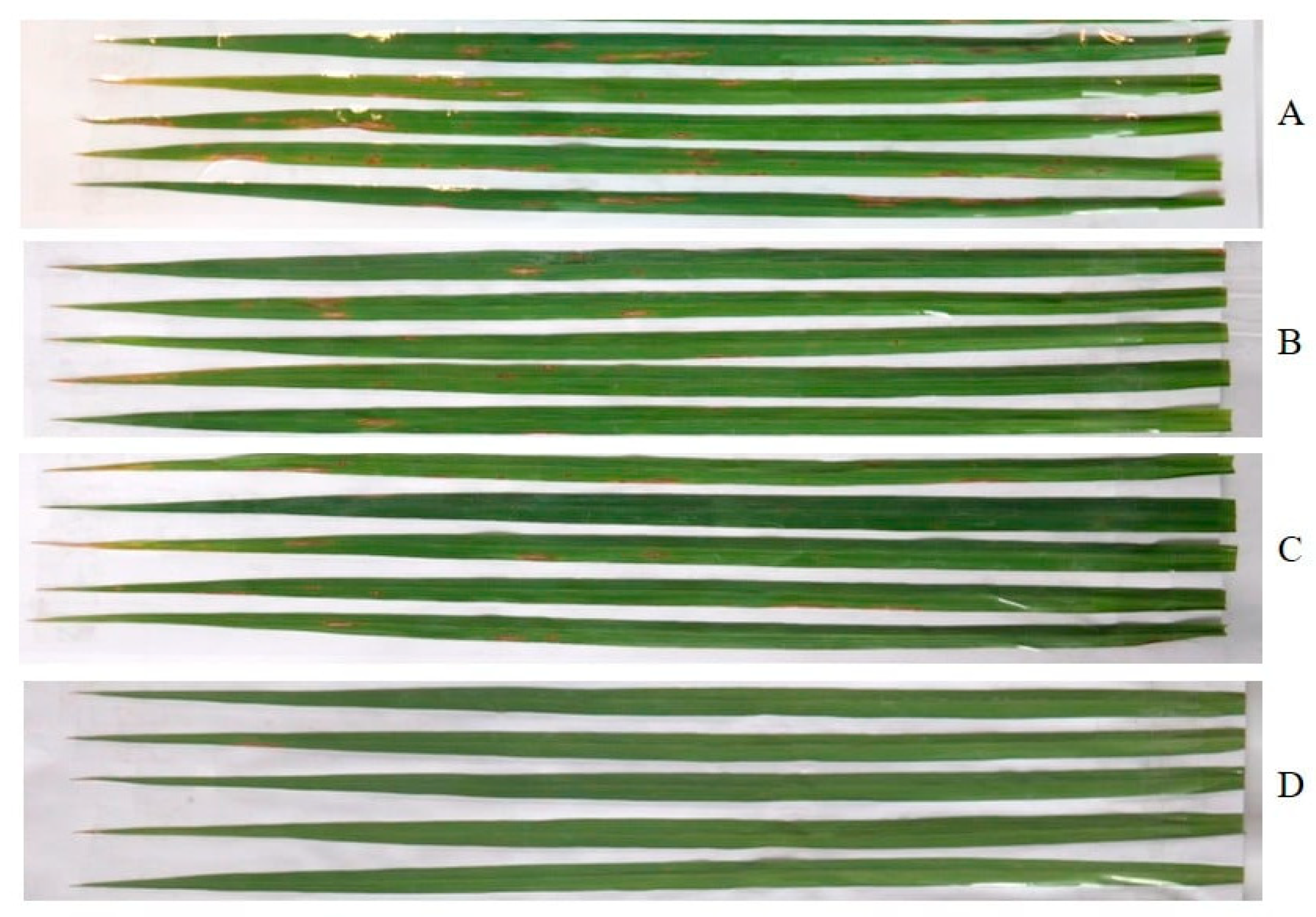 Marinedrugs 23 00461 g004