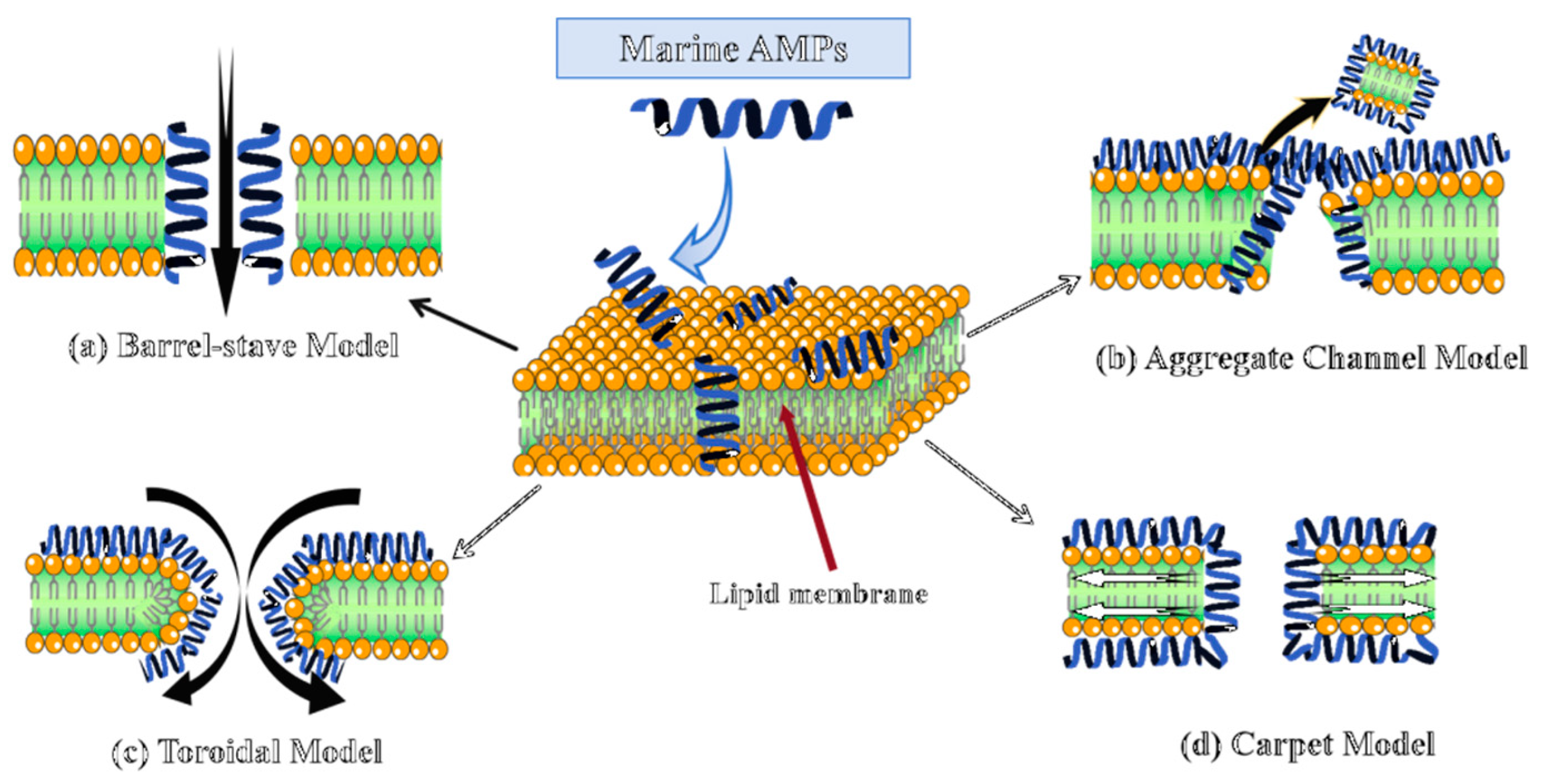 Marinedrugs 23 00463 g001