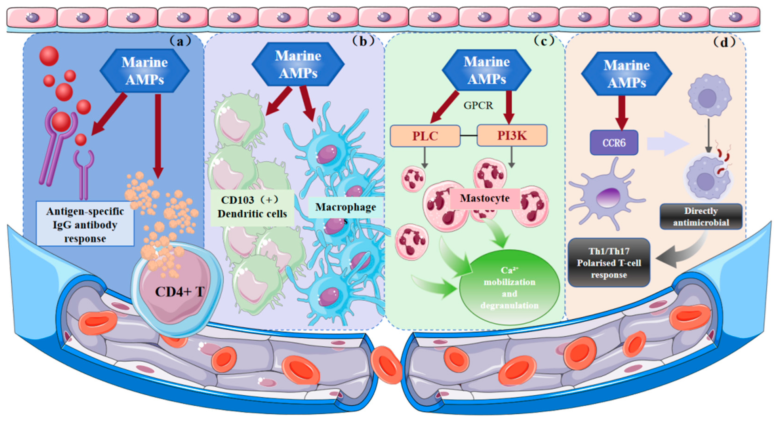 Marinedrugs 23 00463 g002