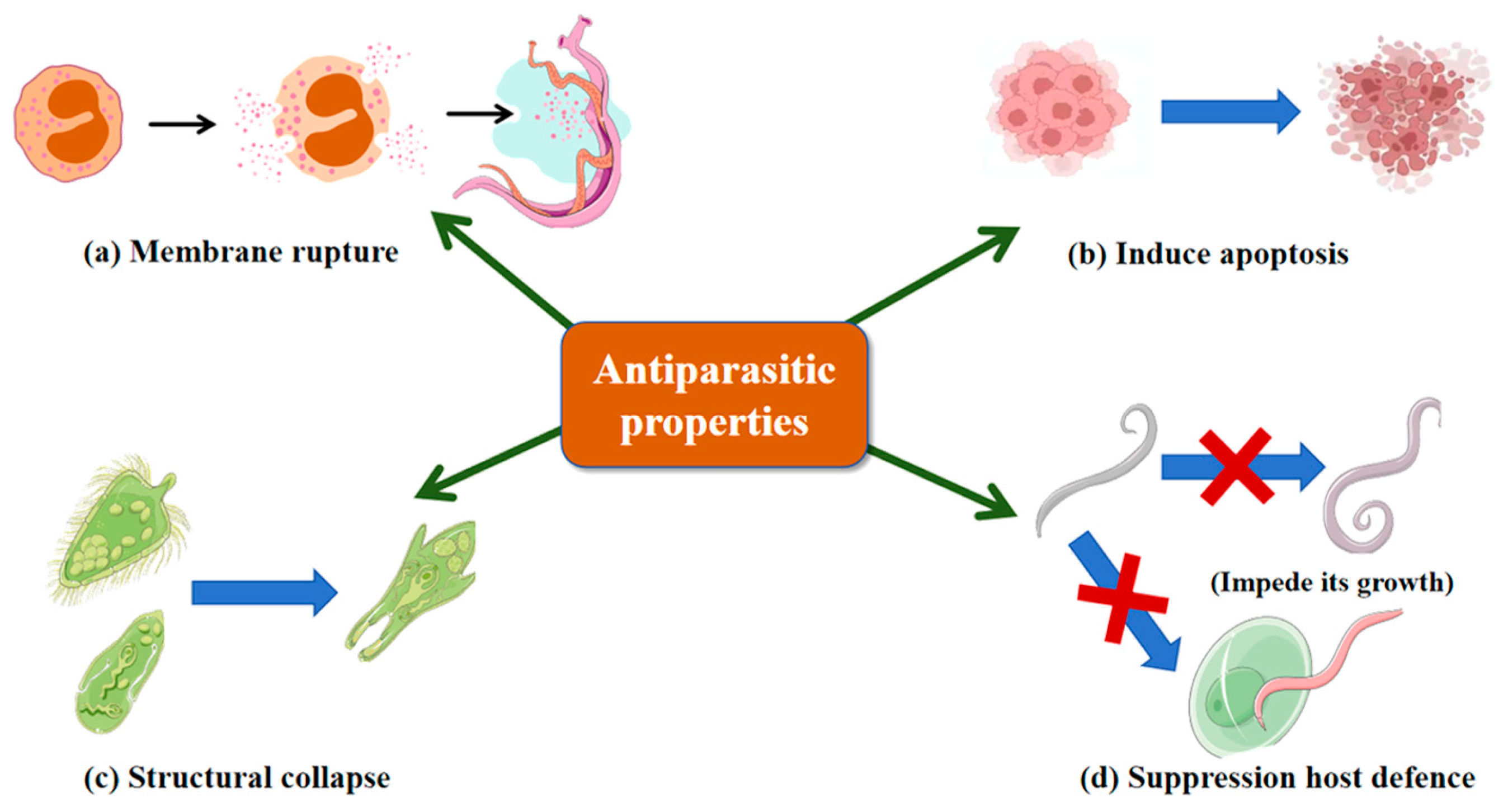 Marinedrugs 23 00463 g004