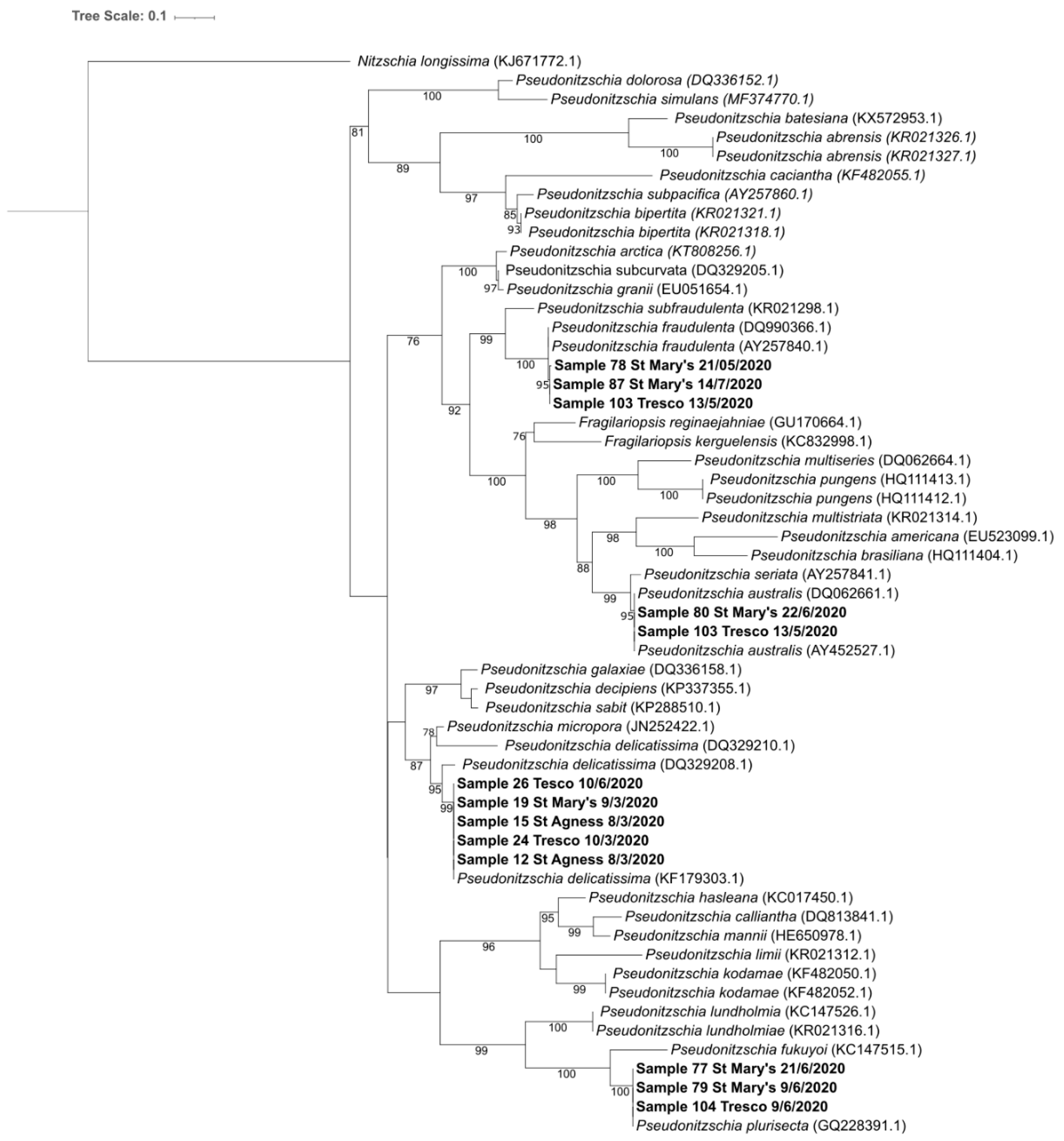 Marinedrugs 23 00478 g005