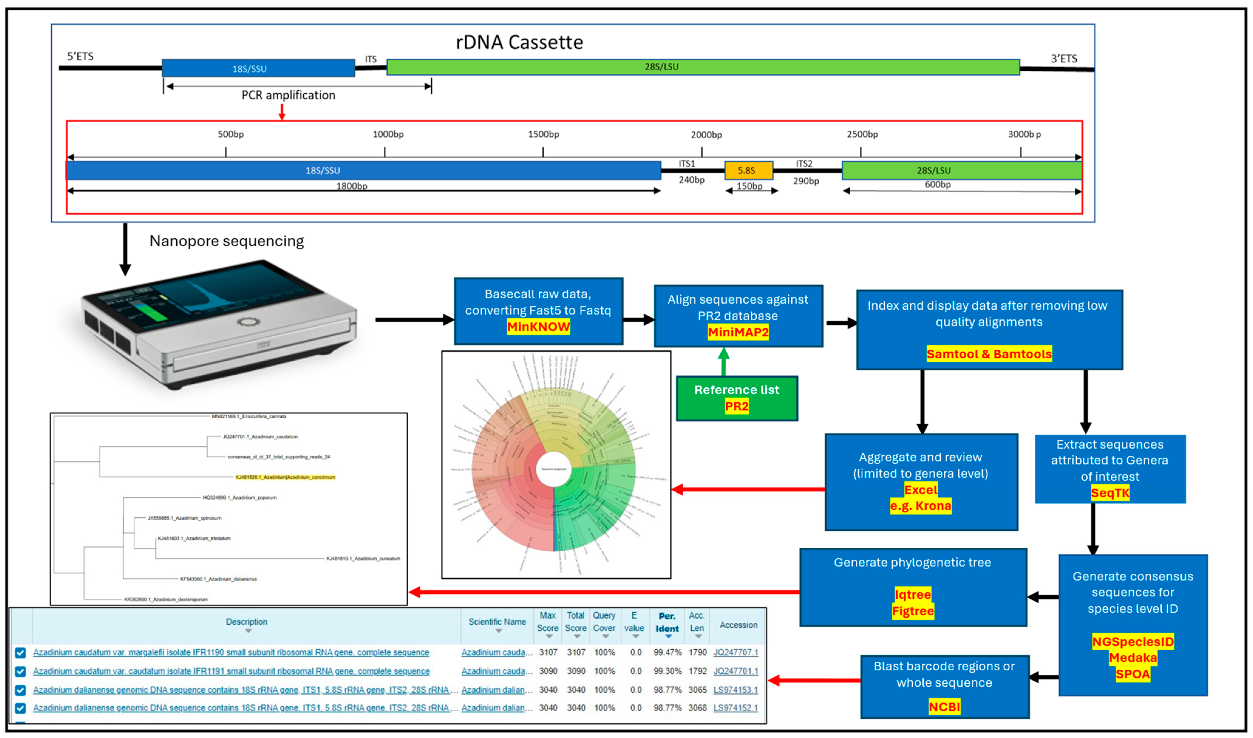 Marinedrugs 23 00478 g012