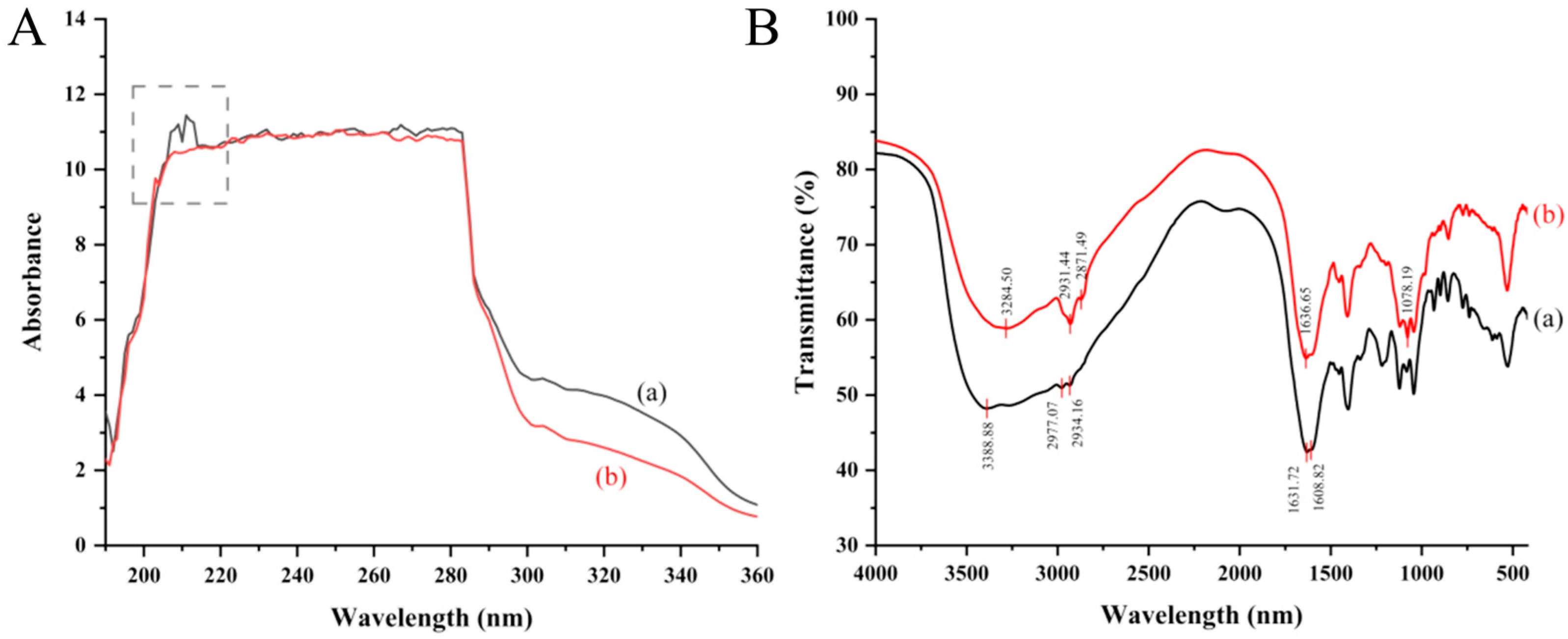 Marinedrugs 23 00484 g002 Marinedrugs 23 00484 g002