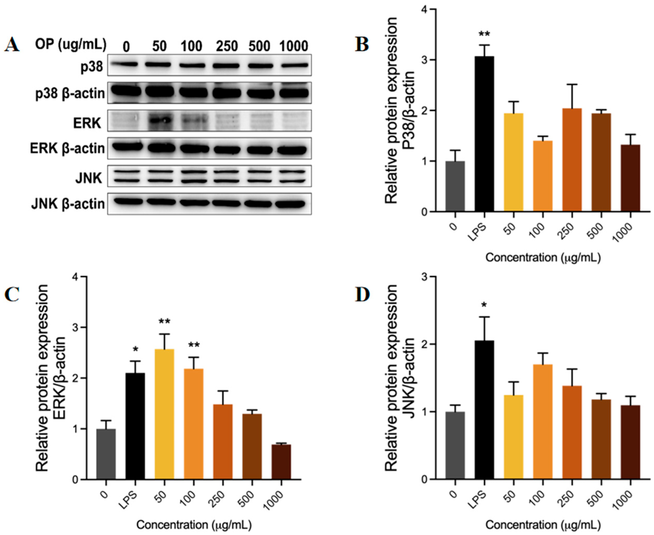 Marinedrugs 23 00484 g005 Marinedrugs 23 00484 g005
