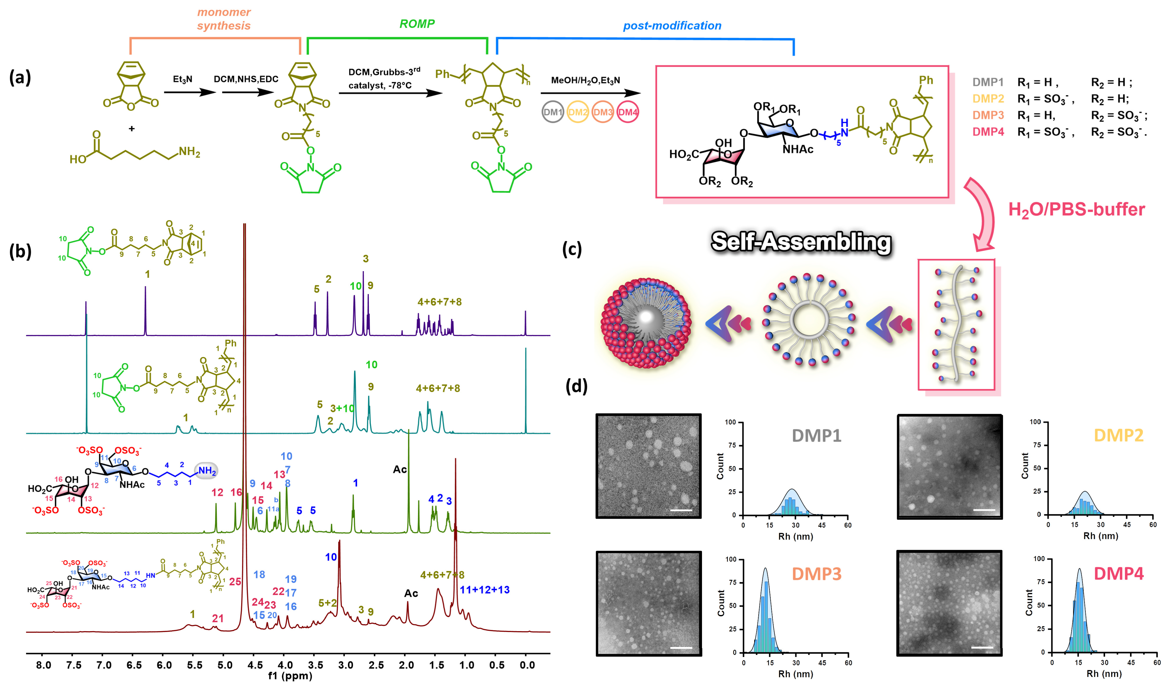 Marinedrugs 23 00486 g001