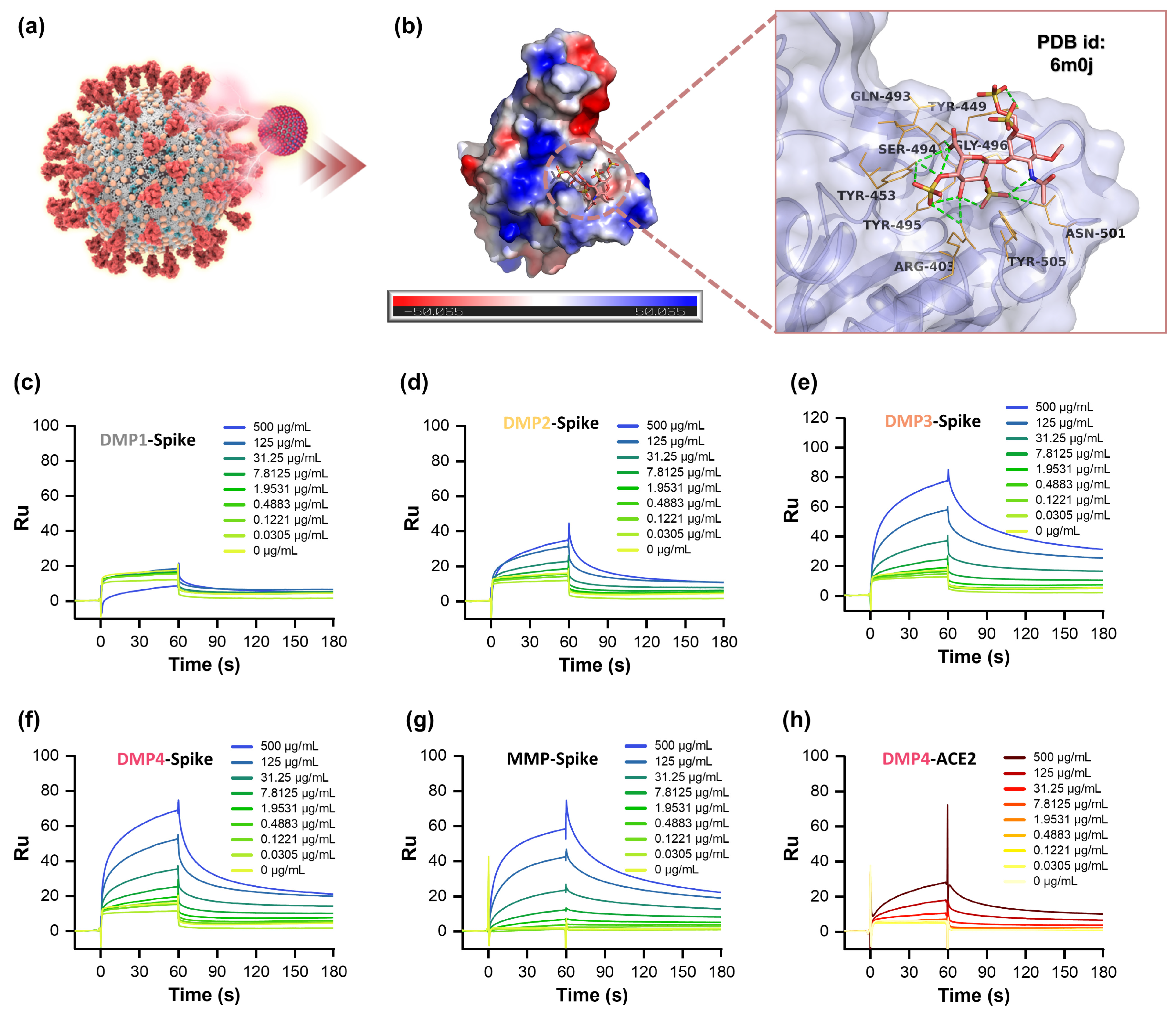 Marinedrugs 23 00486 g002