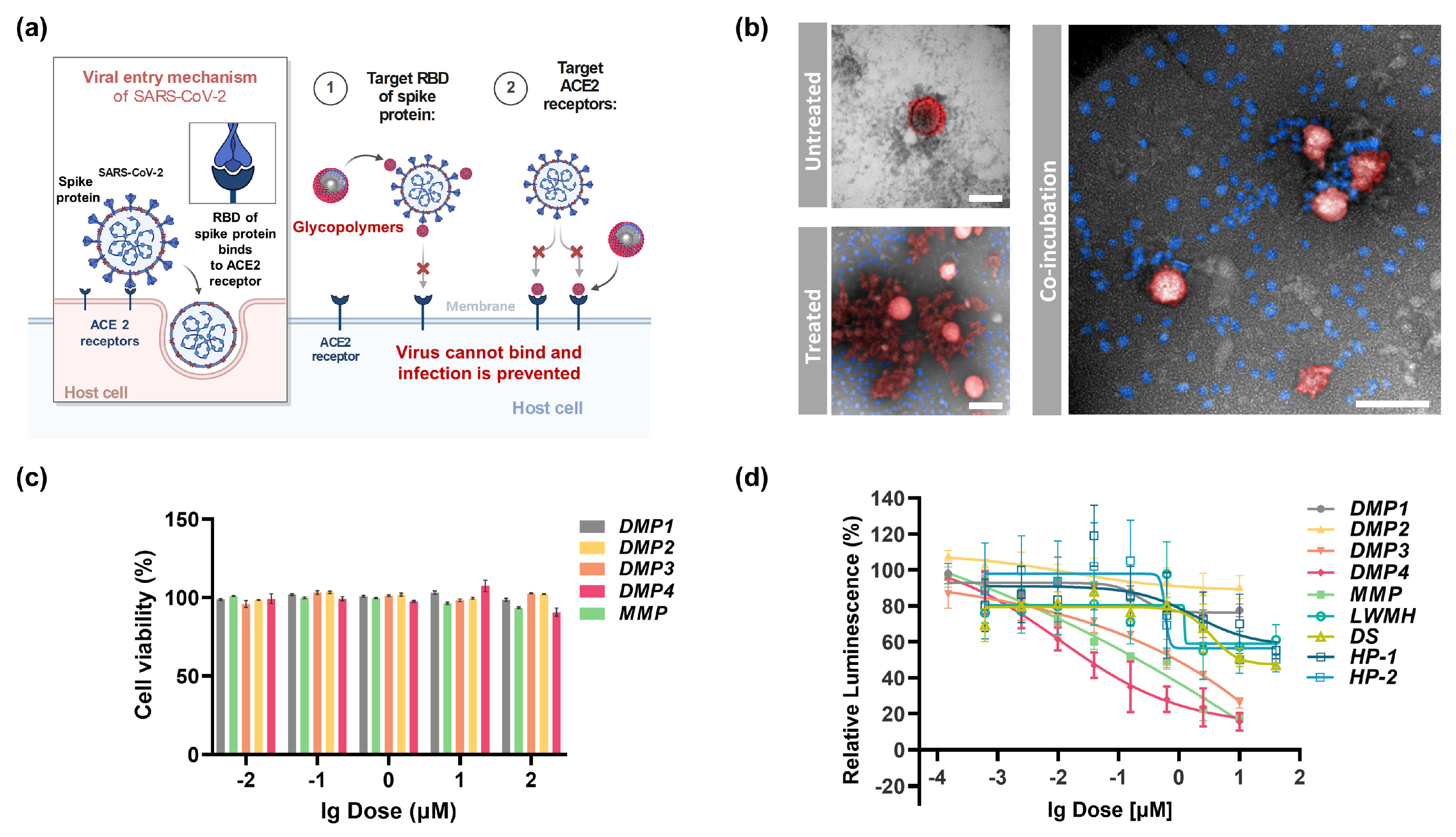 Marinedrugs 23 00486 g003