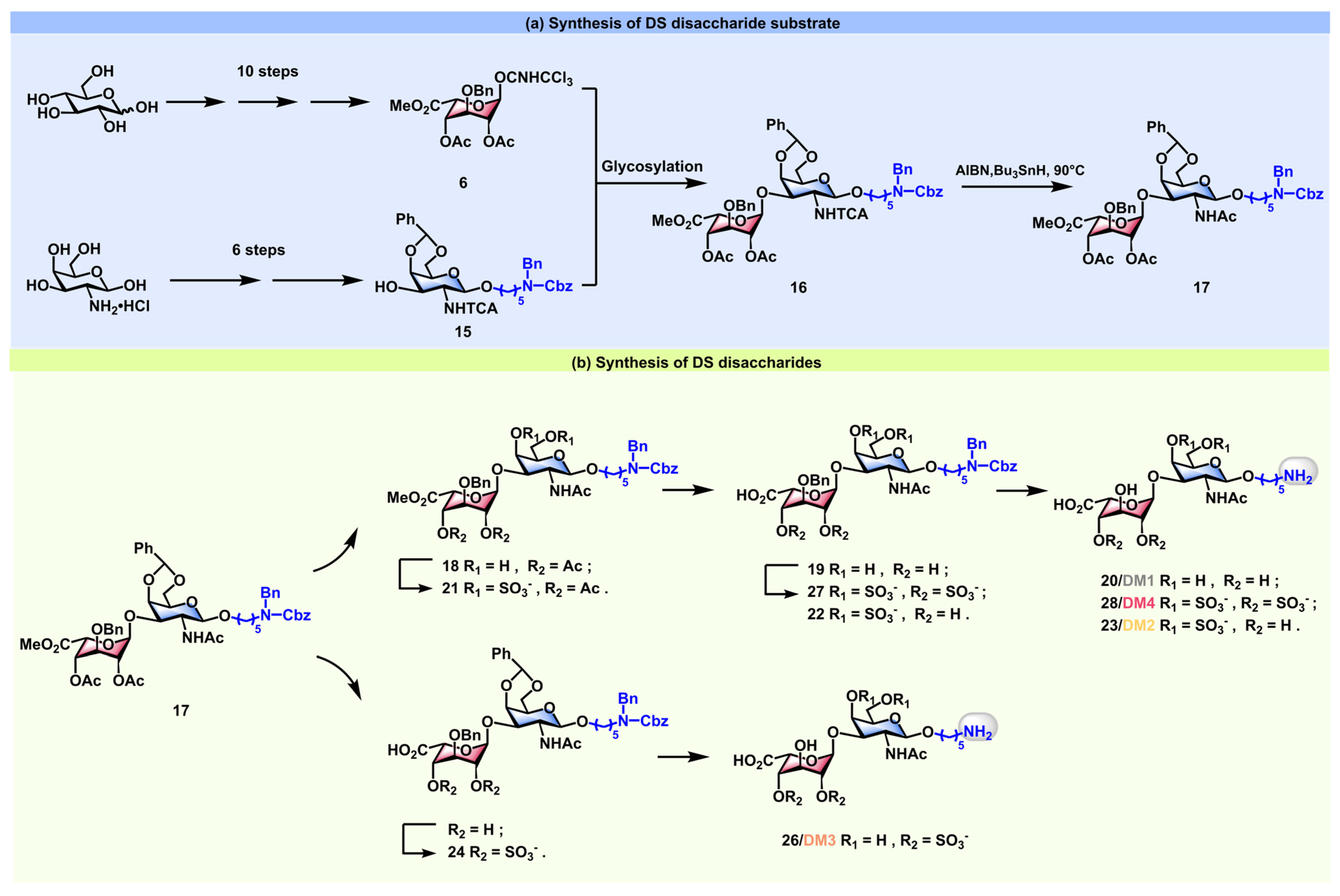 Marinedrugs 23 00486 sch002