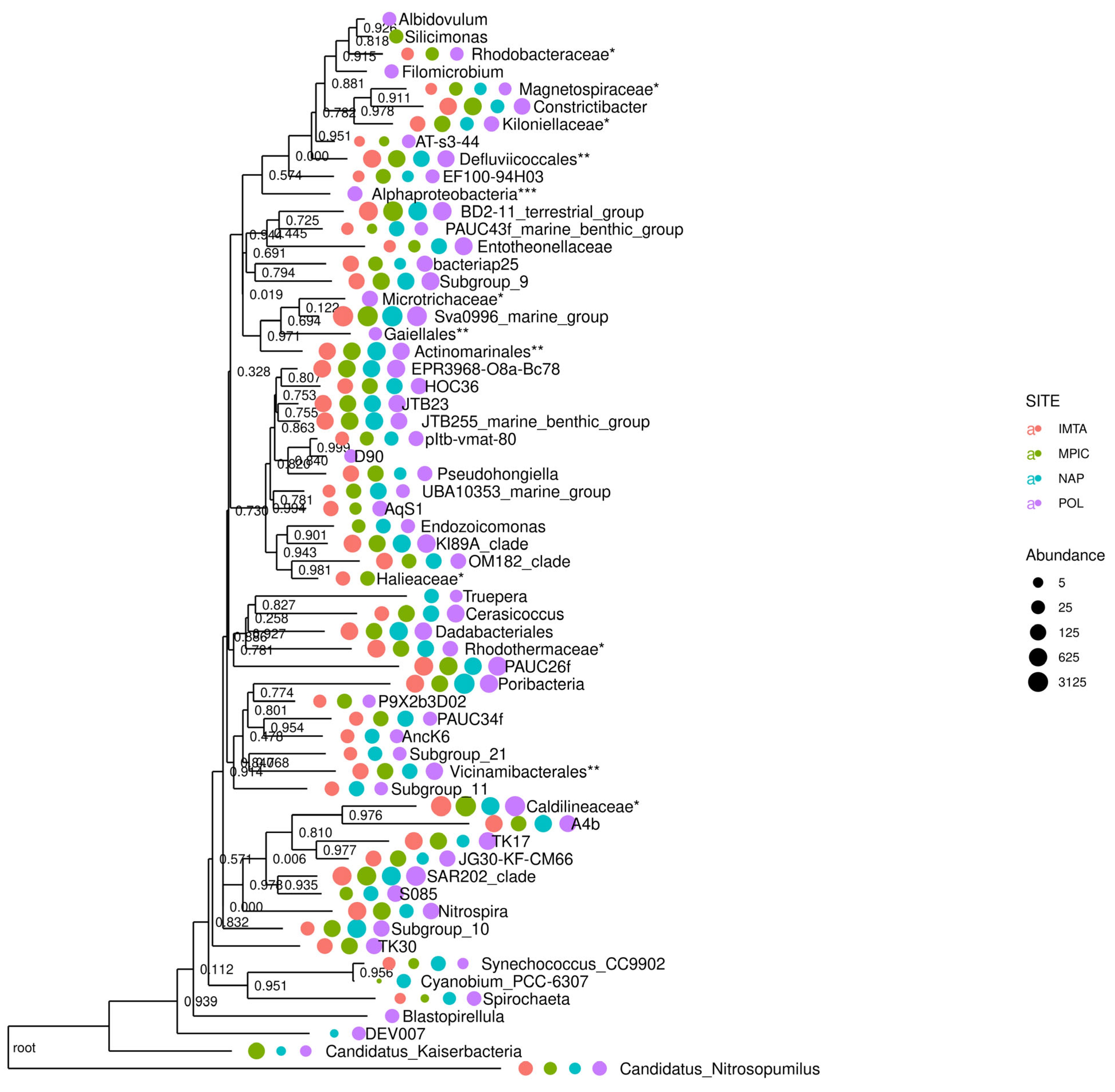 Marinedrugs 24 00002 g003