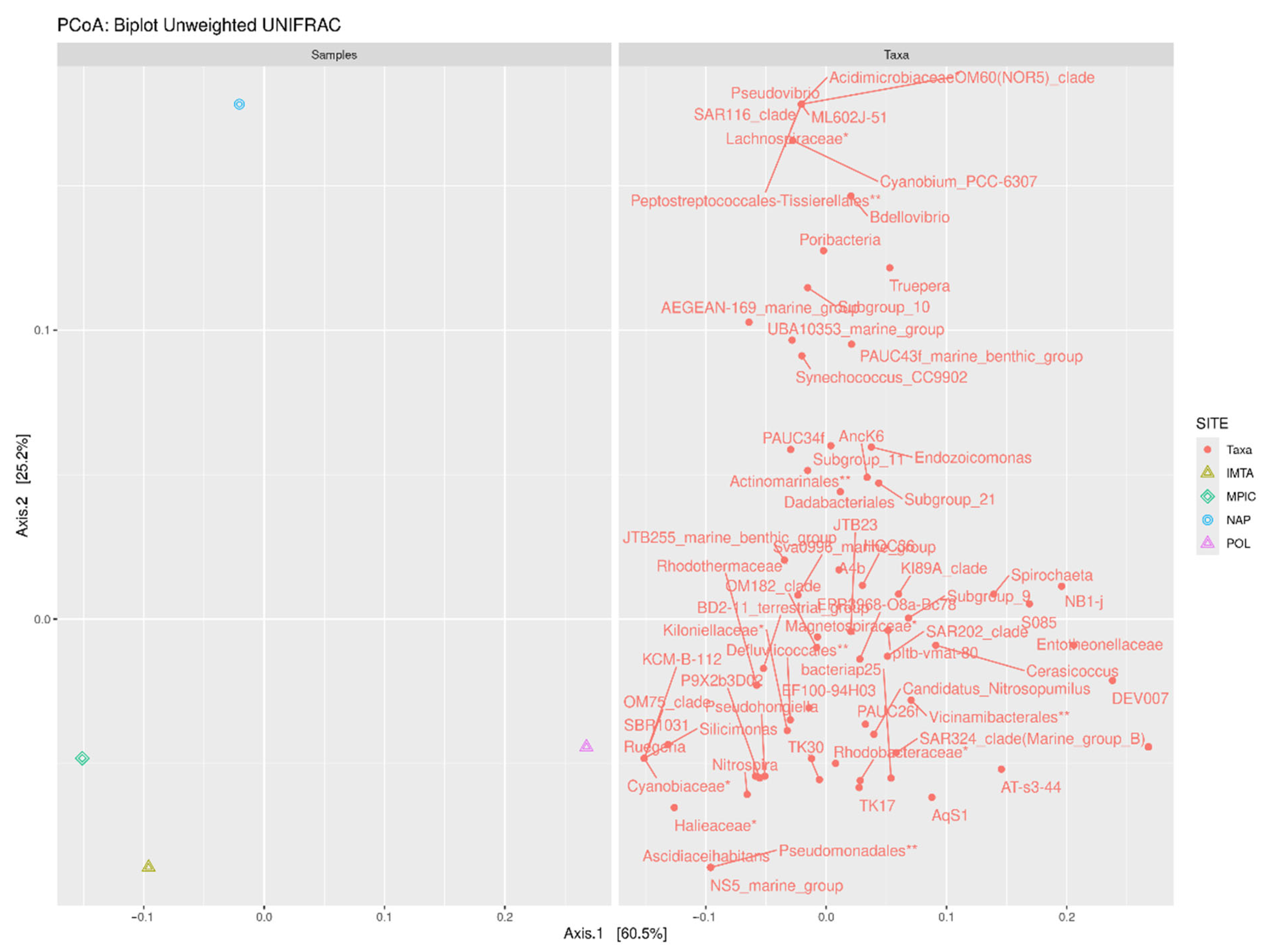 Marinedrugs 24 00002 g004