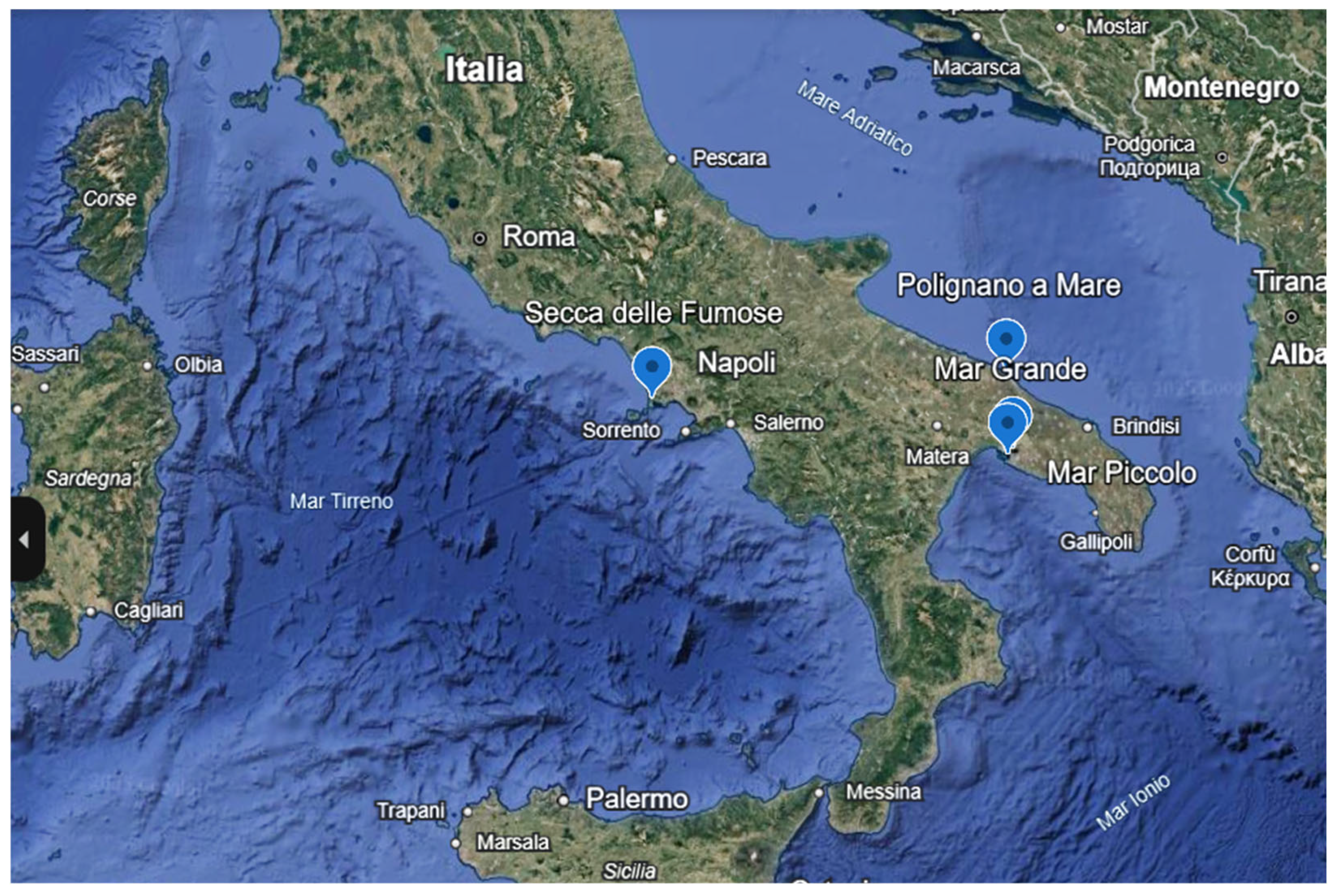 Marinedrugs 24 00002 g006