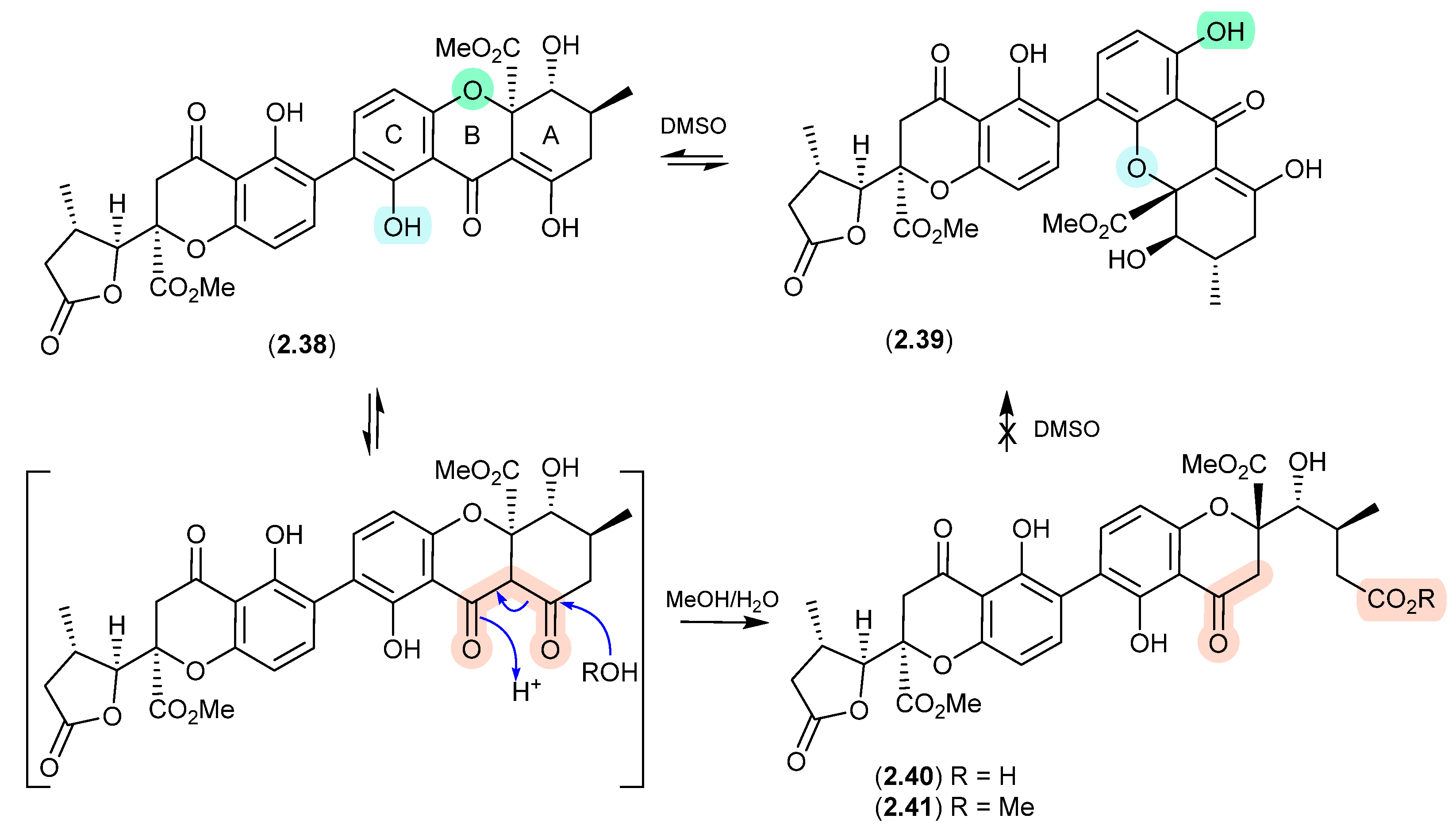 Marinedrugs 24 00005 g011