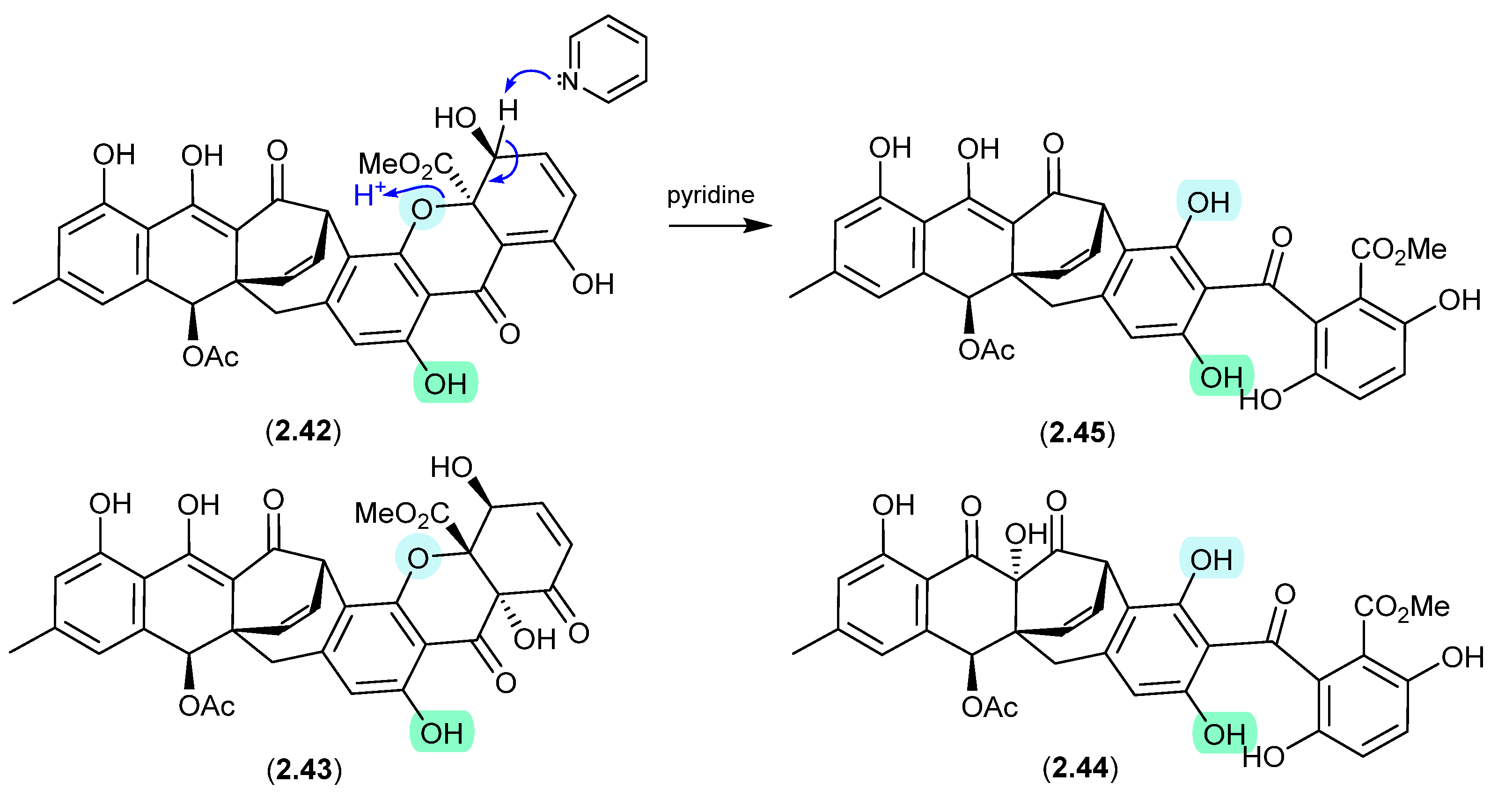 Marinedrugs 24 00005 g012