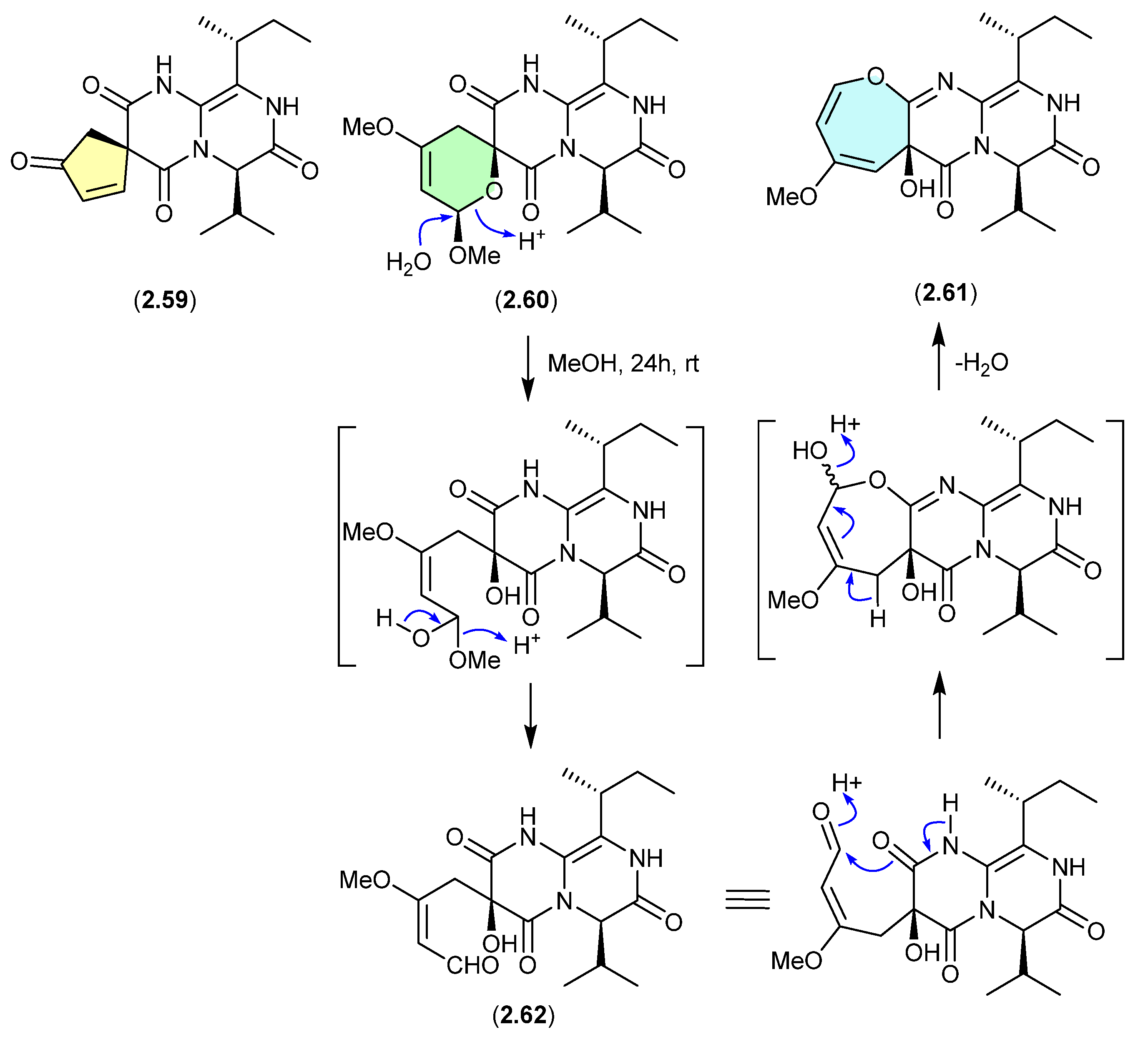 Marinedrugs 24 00005 g016