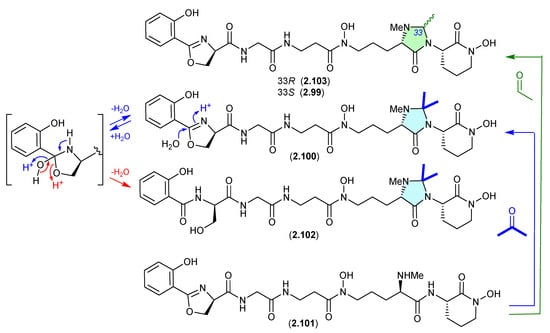 Marinedrugs 24 00005 g025