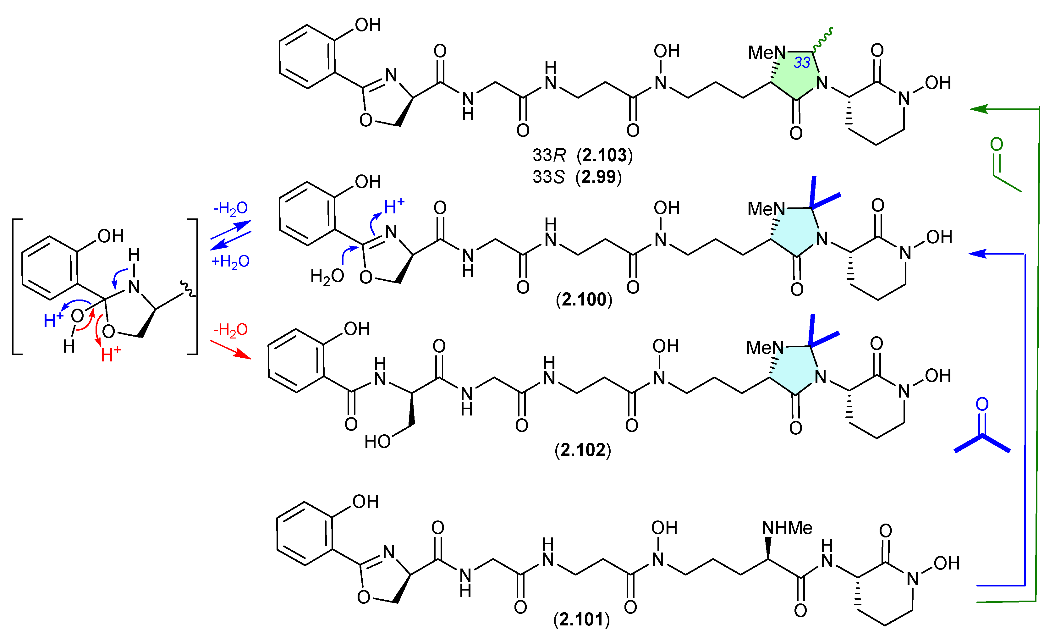 Marinedrugs 24 00005 g025