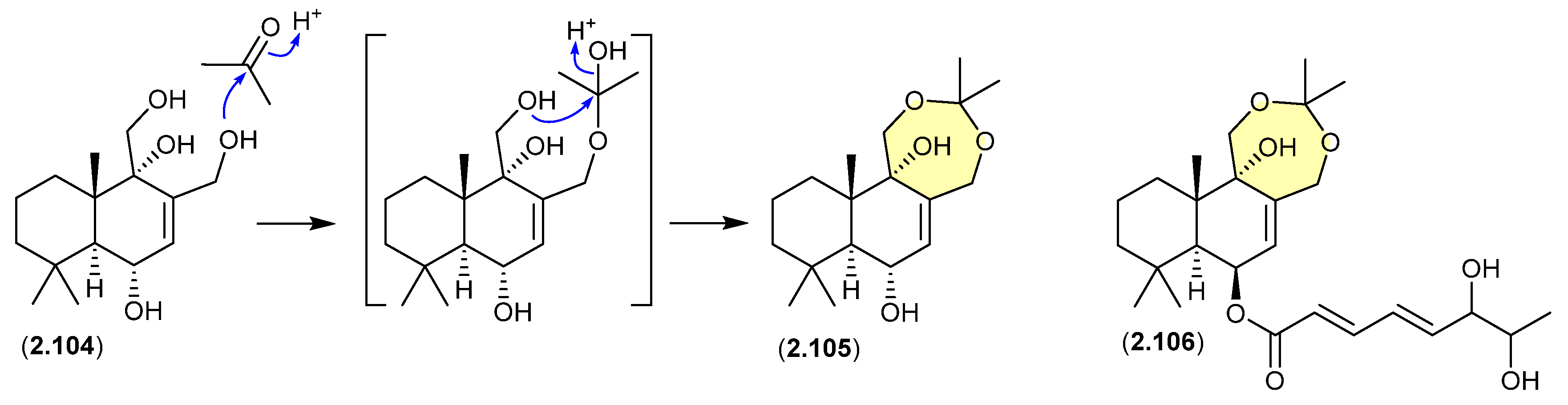 Marinedrugs 24 00005 g026