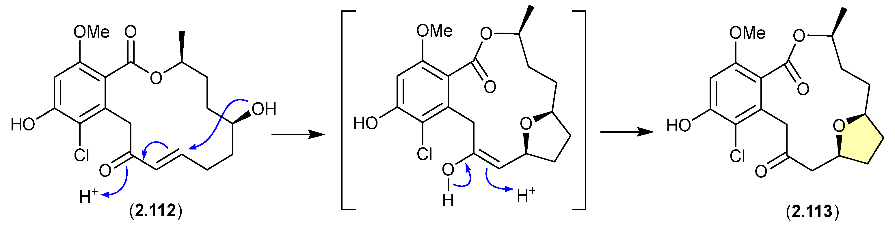 Marinedrugs 24 00005 g030