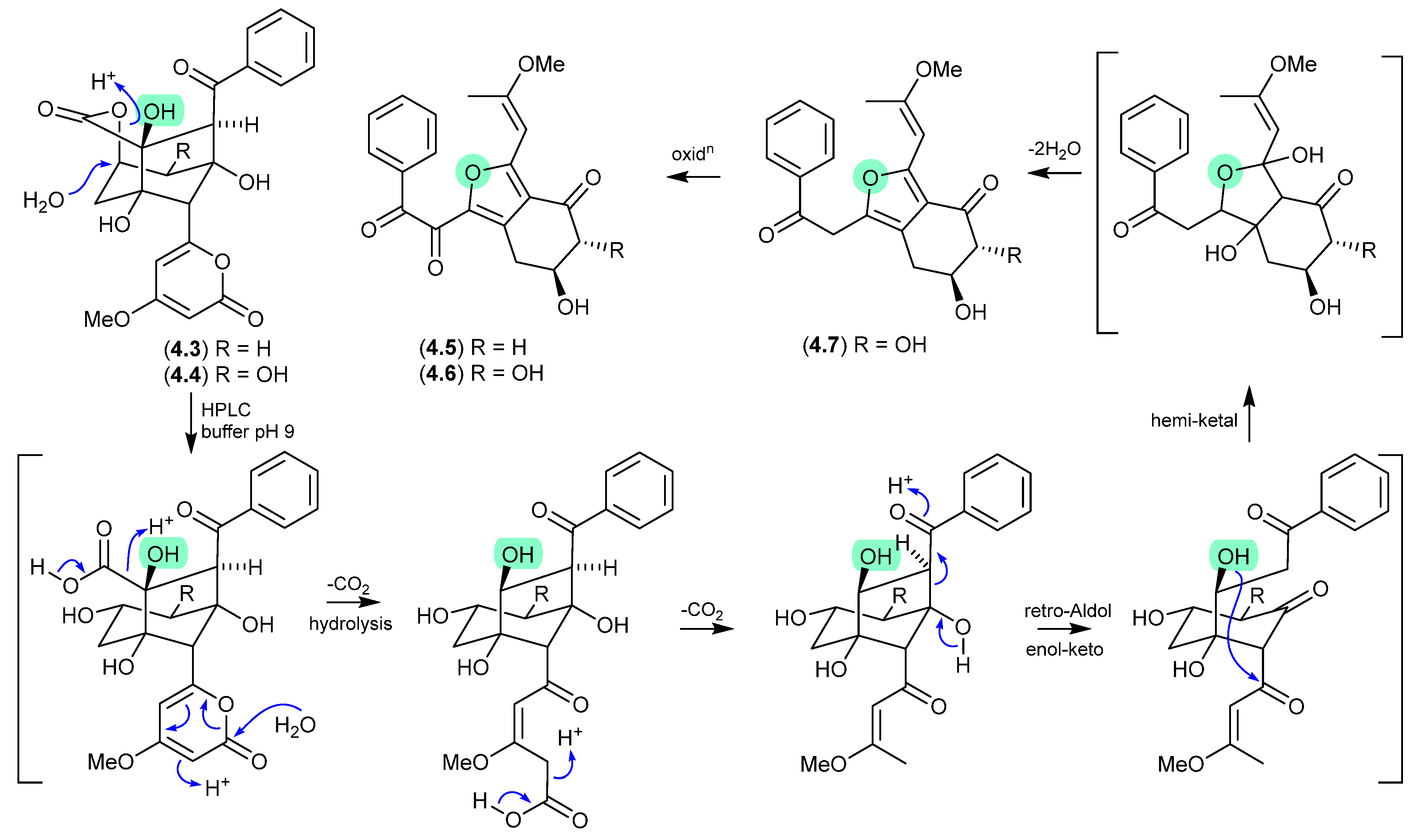 Marinedrugs 24 00005 g049