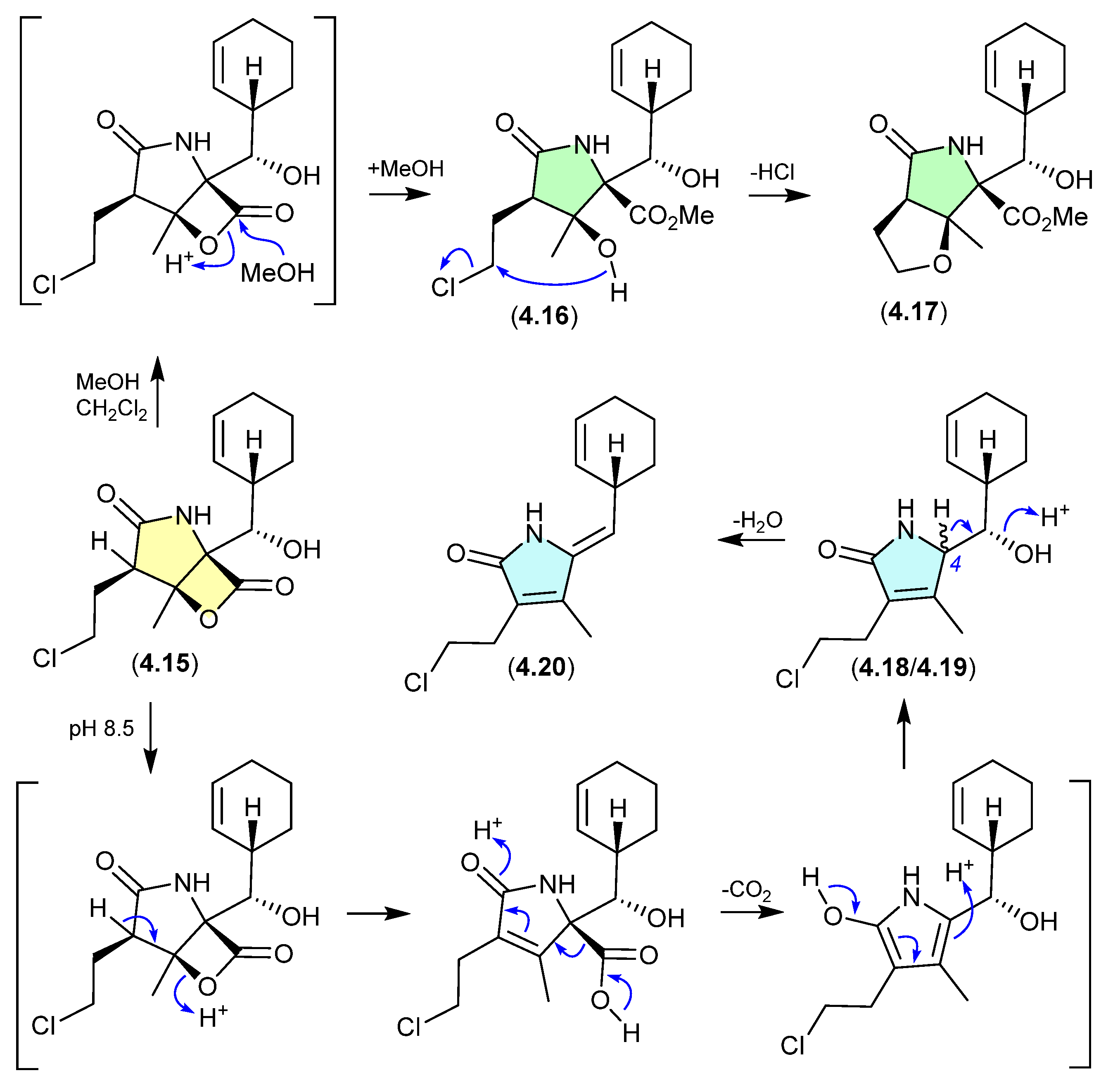 Marinedrugs 24 00005 g052