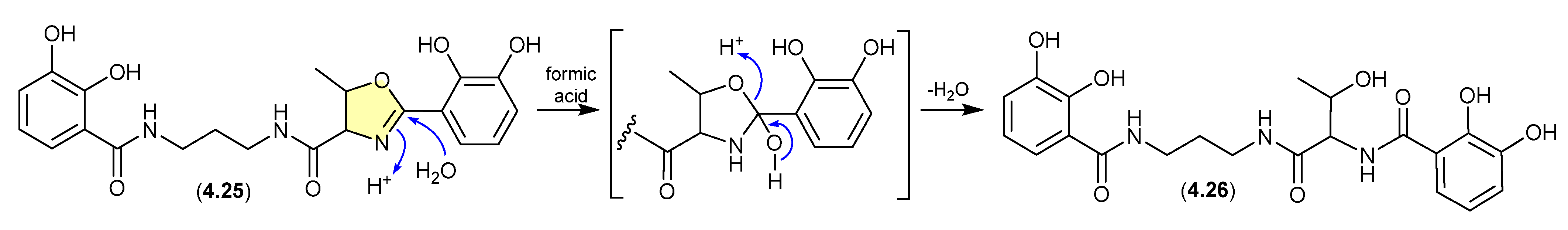Marinedrugs 24 00005 g054