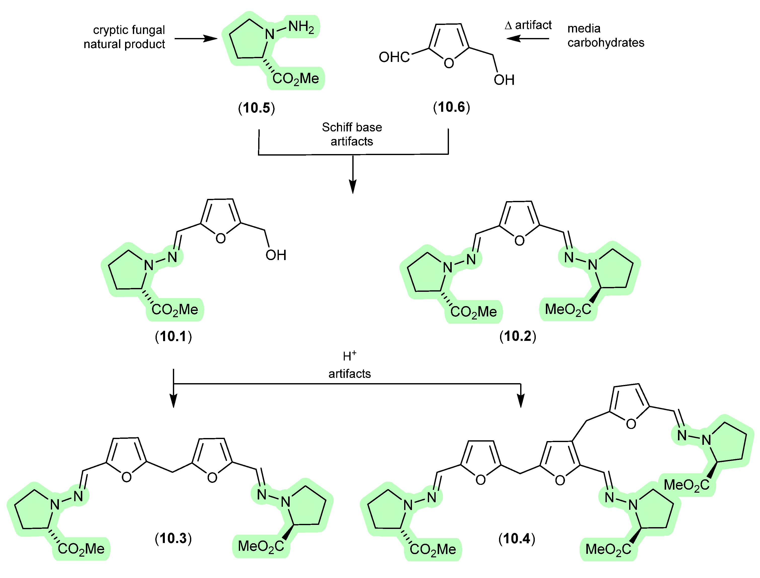 Marinedrugs 24 00005 g085