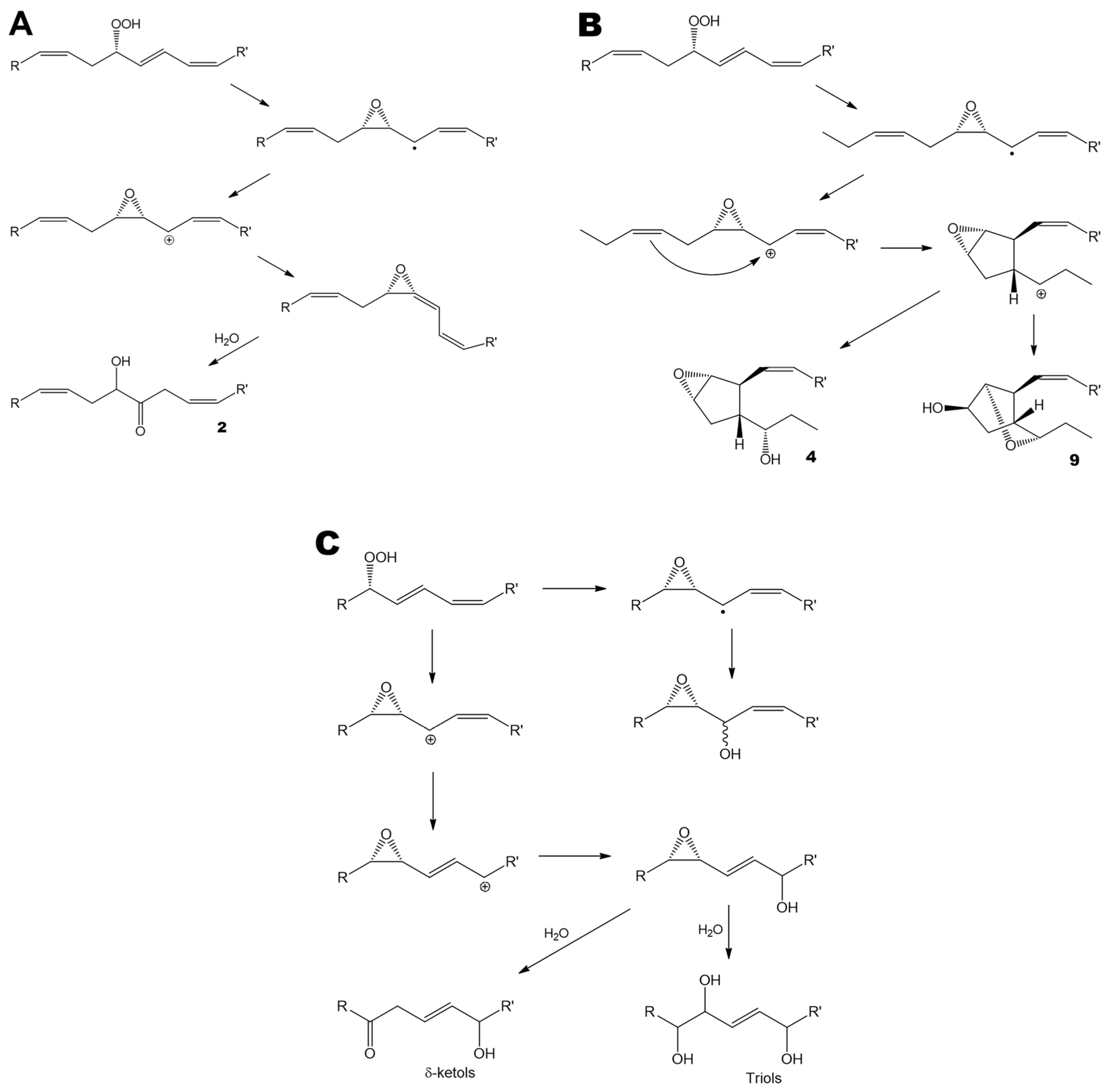 Marinedrugs 24 00008 g005