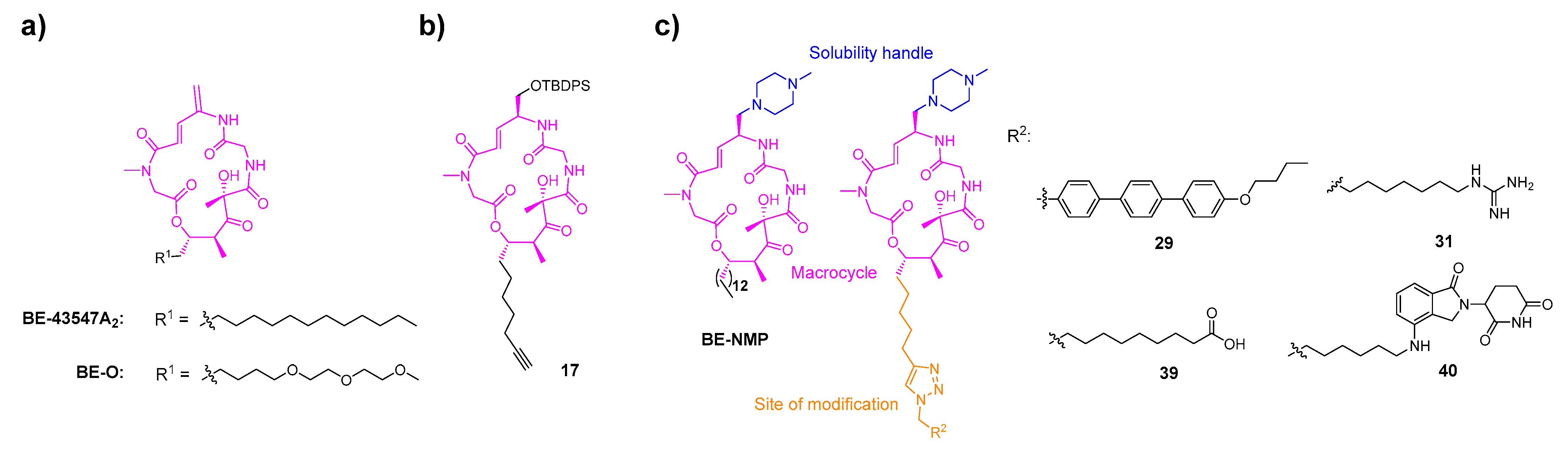 Marinedrugs 24 00013 g001 Marinedrugs 24 00013 g001