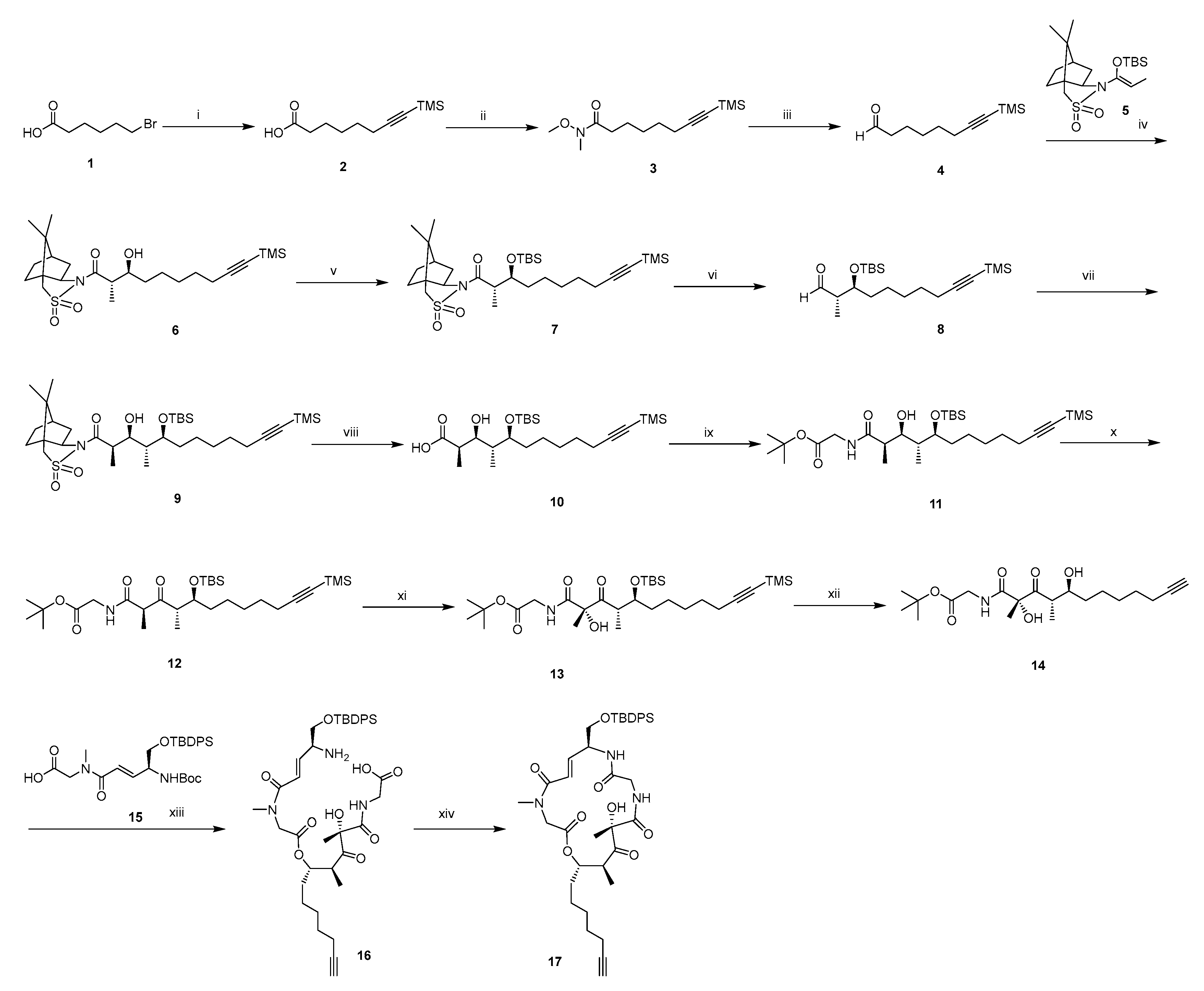 Marinedrugs 24 00013 sch001 Marinedrugs 24 00013 sch001