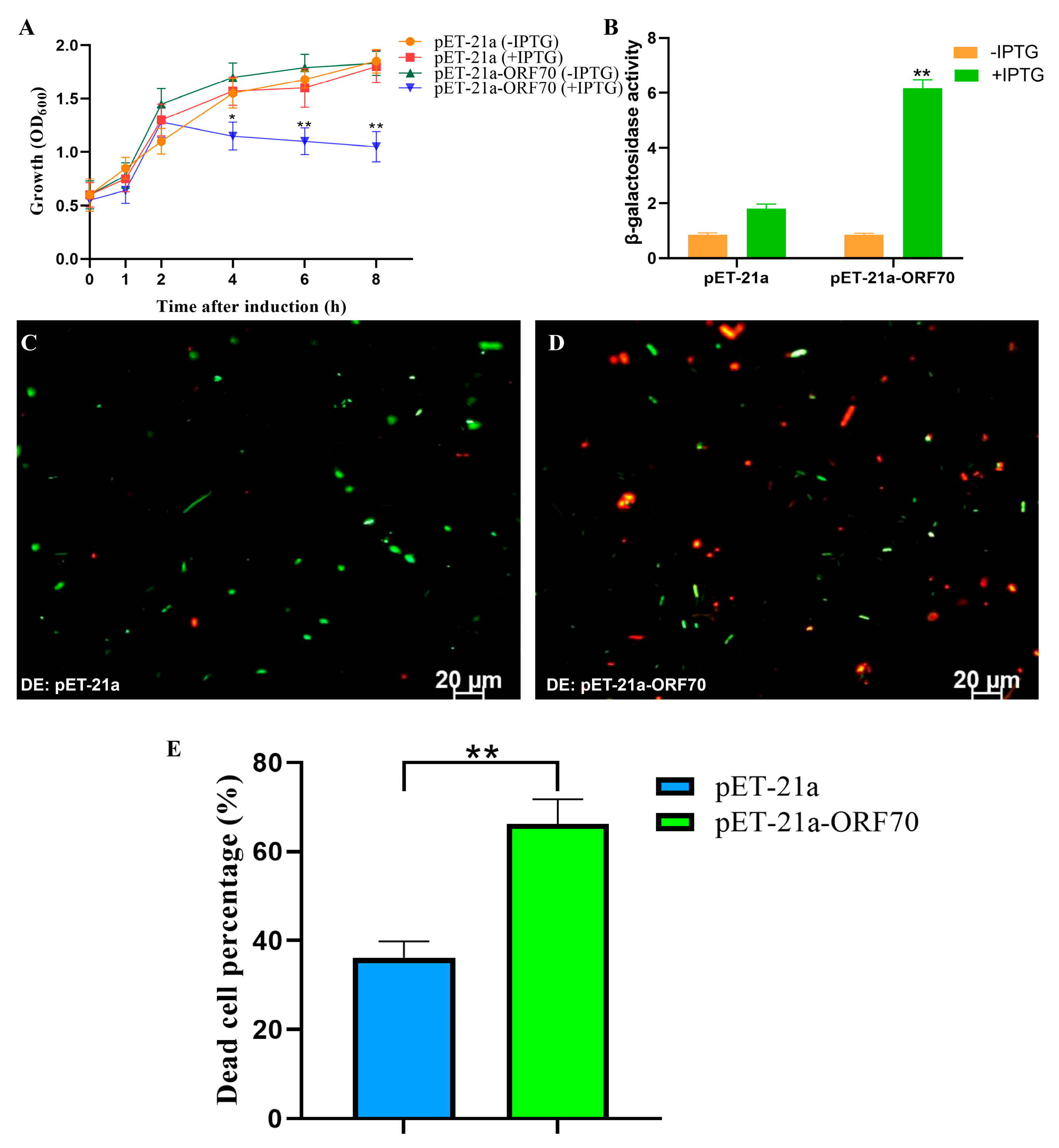 Marinedrugs 24 00014 g004
