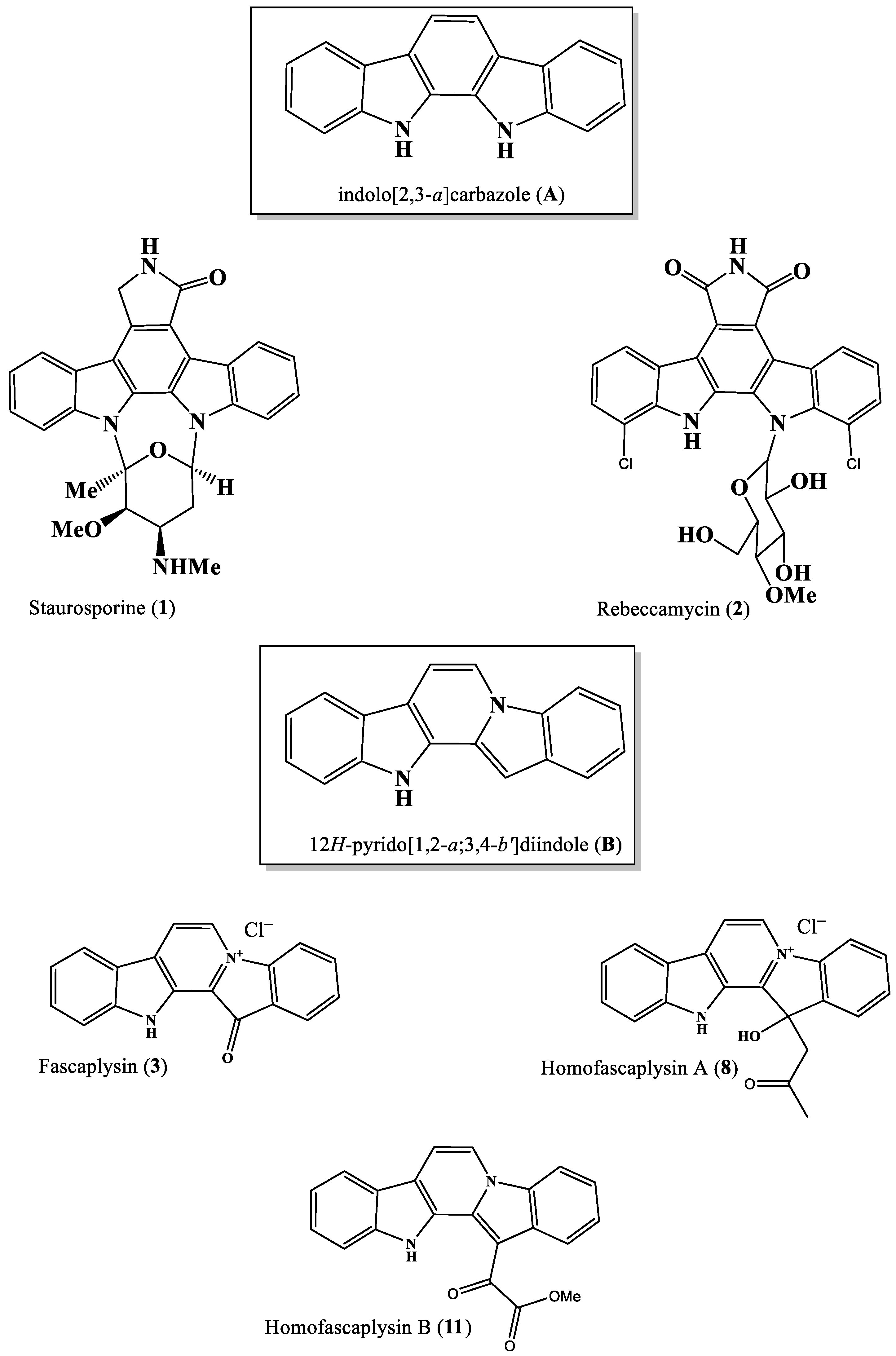 Marinedrugs 24 00018 g001