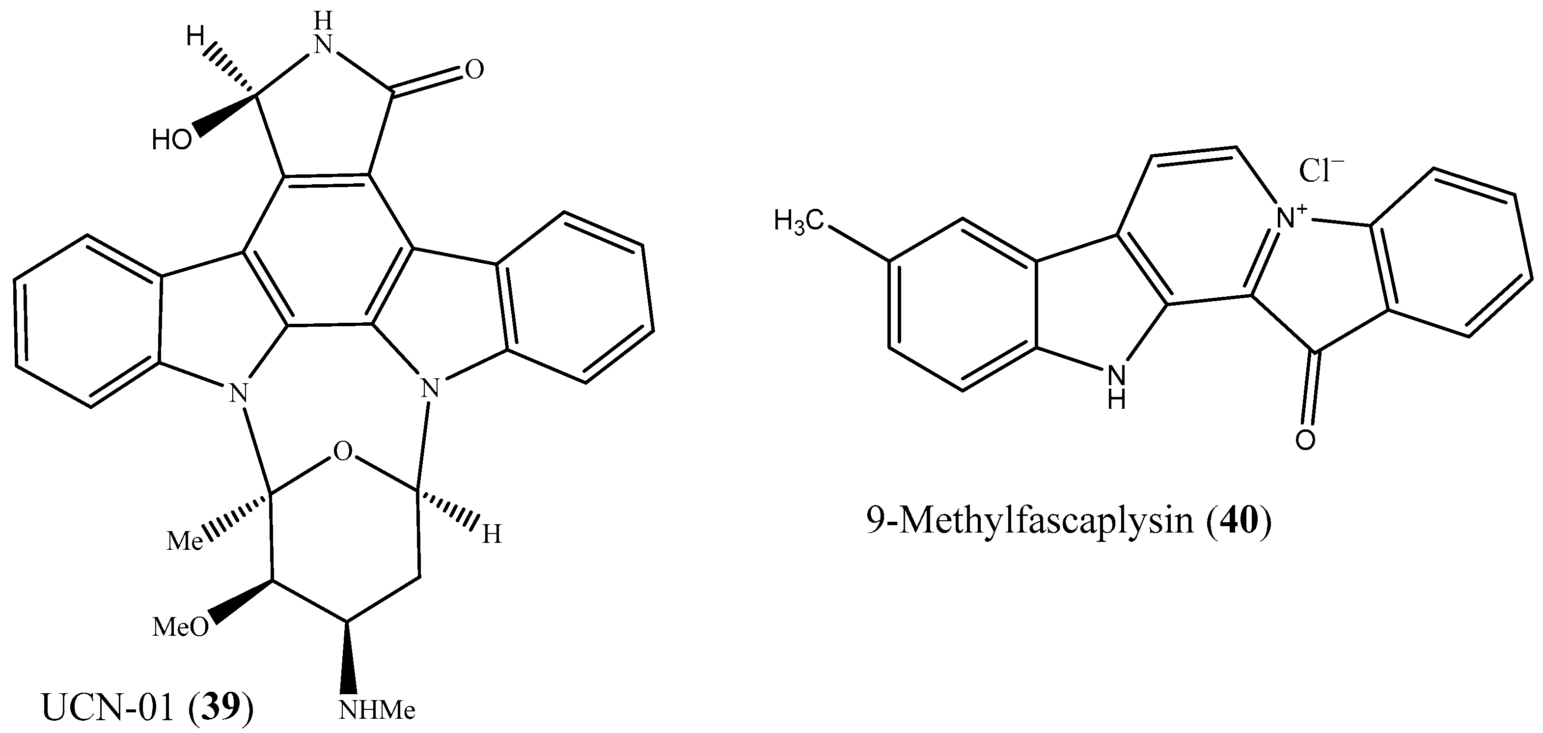 Marinedrugs 24 00018 g008