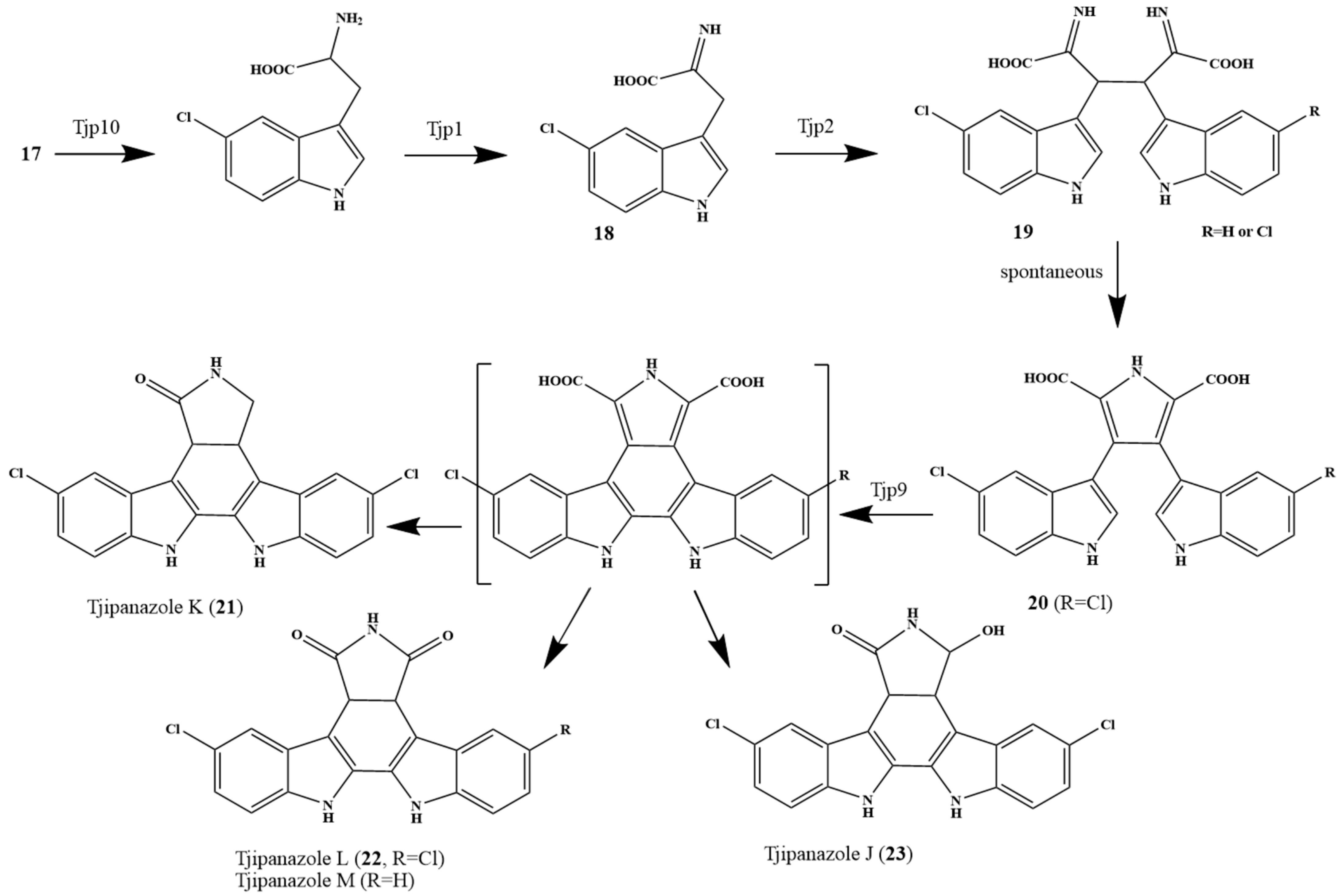 Marinedrugs 24 00018 sch002